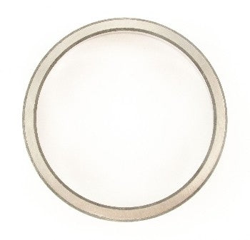 SKF Axle Differential Bearing Race NP372019