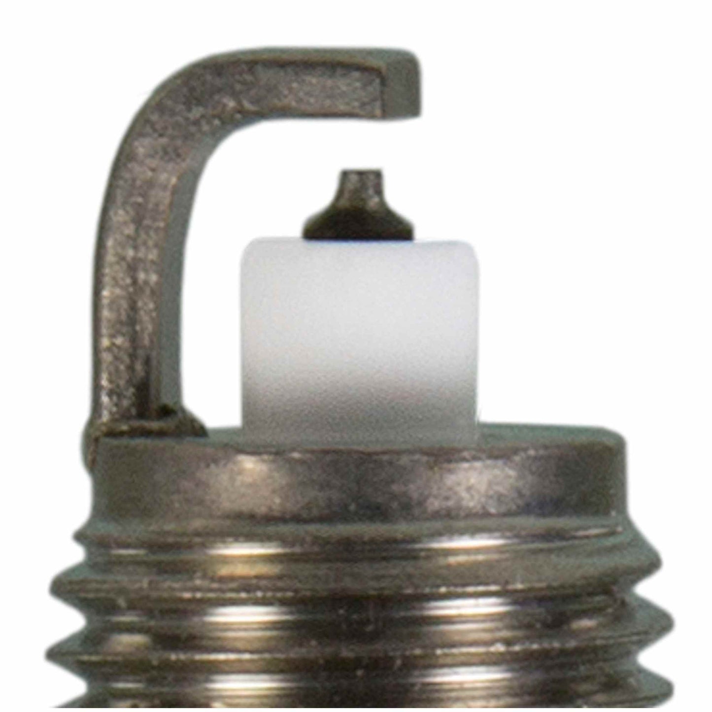 Champion Spark Plug Spark Plug 3455