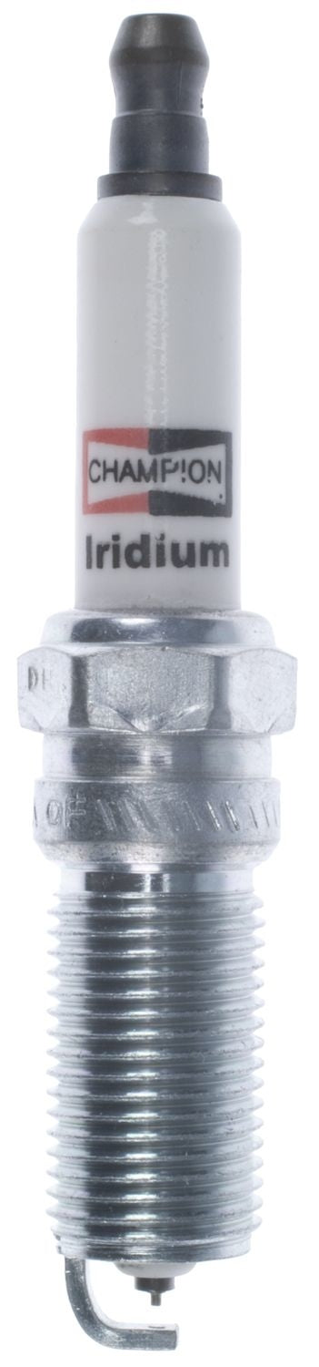 Champion Spark Plug Spark Plug 9901