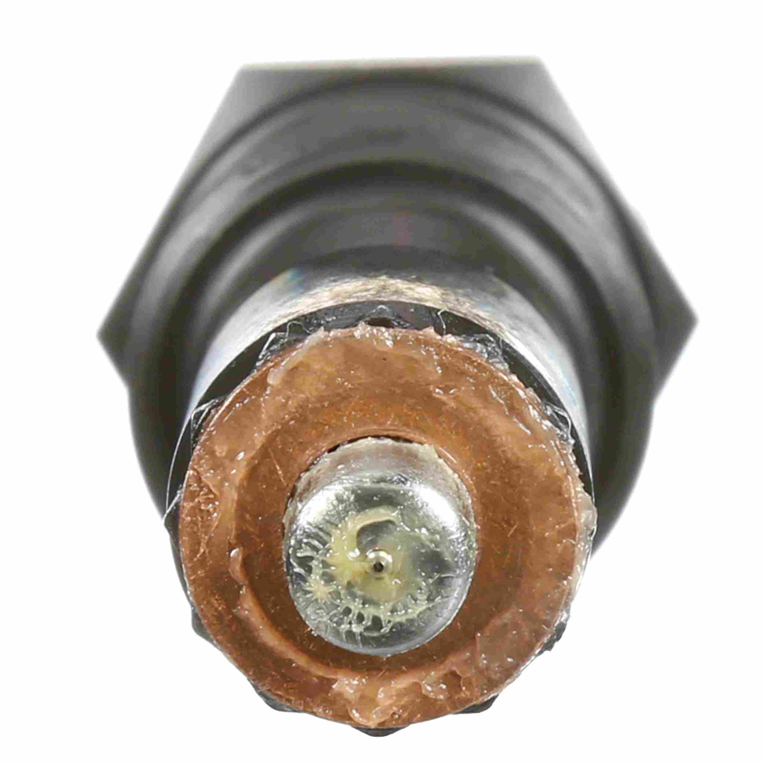 Delphi Fuel Injector 6760301