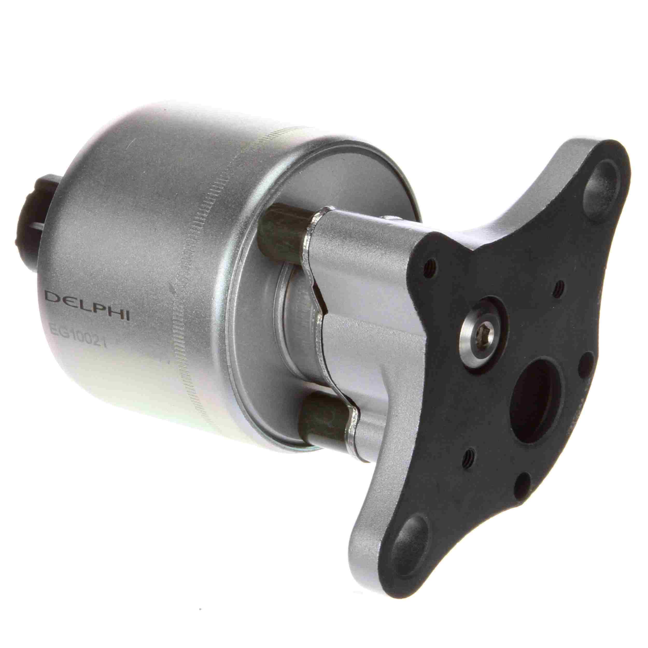 Delphi EGR Valve EG10021