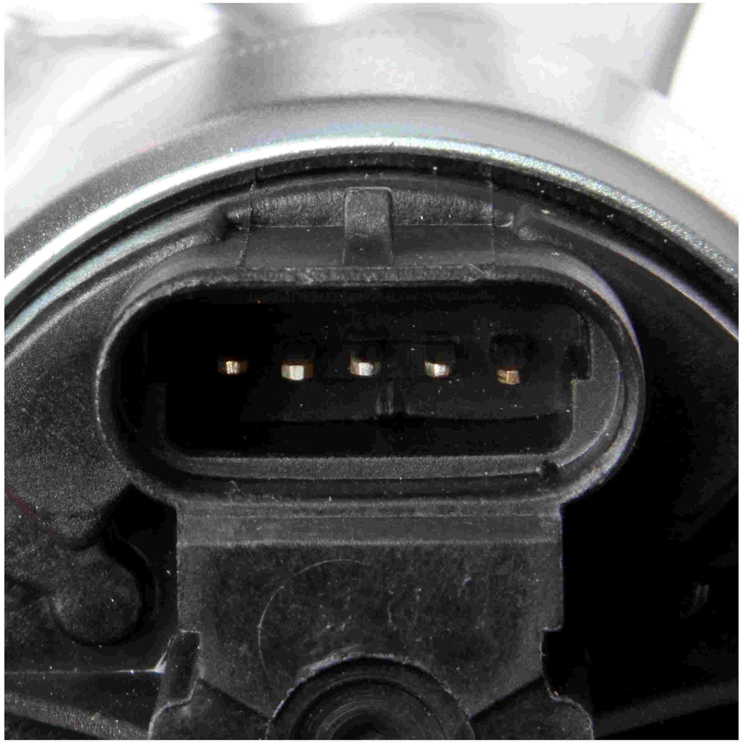 Delphi EGR Valve EG10021