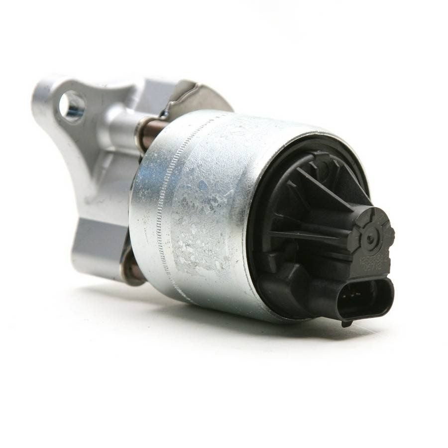 Delphi EGR Valve EG10311