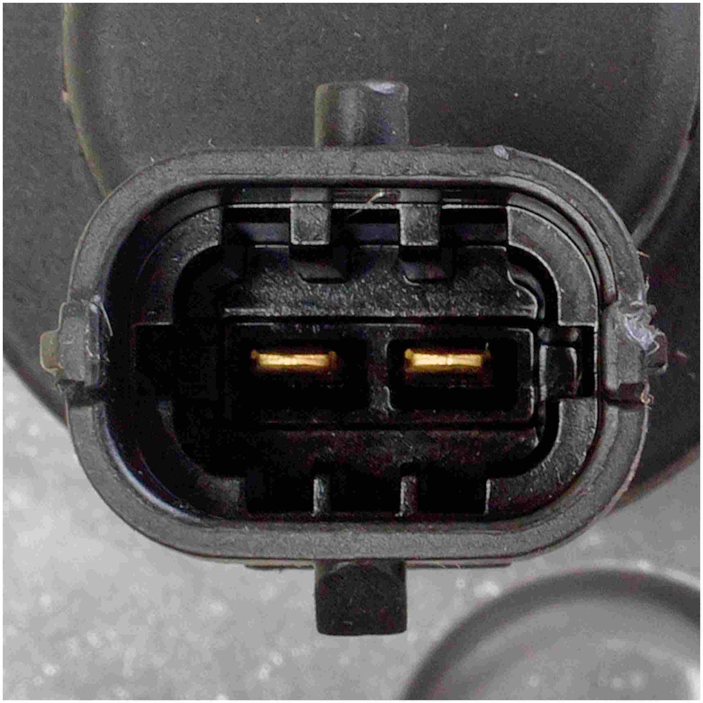 Delphi Fuel Injection Pump EX631051