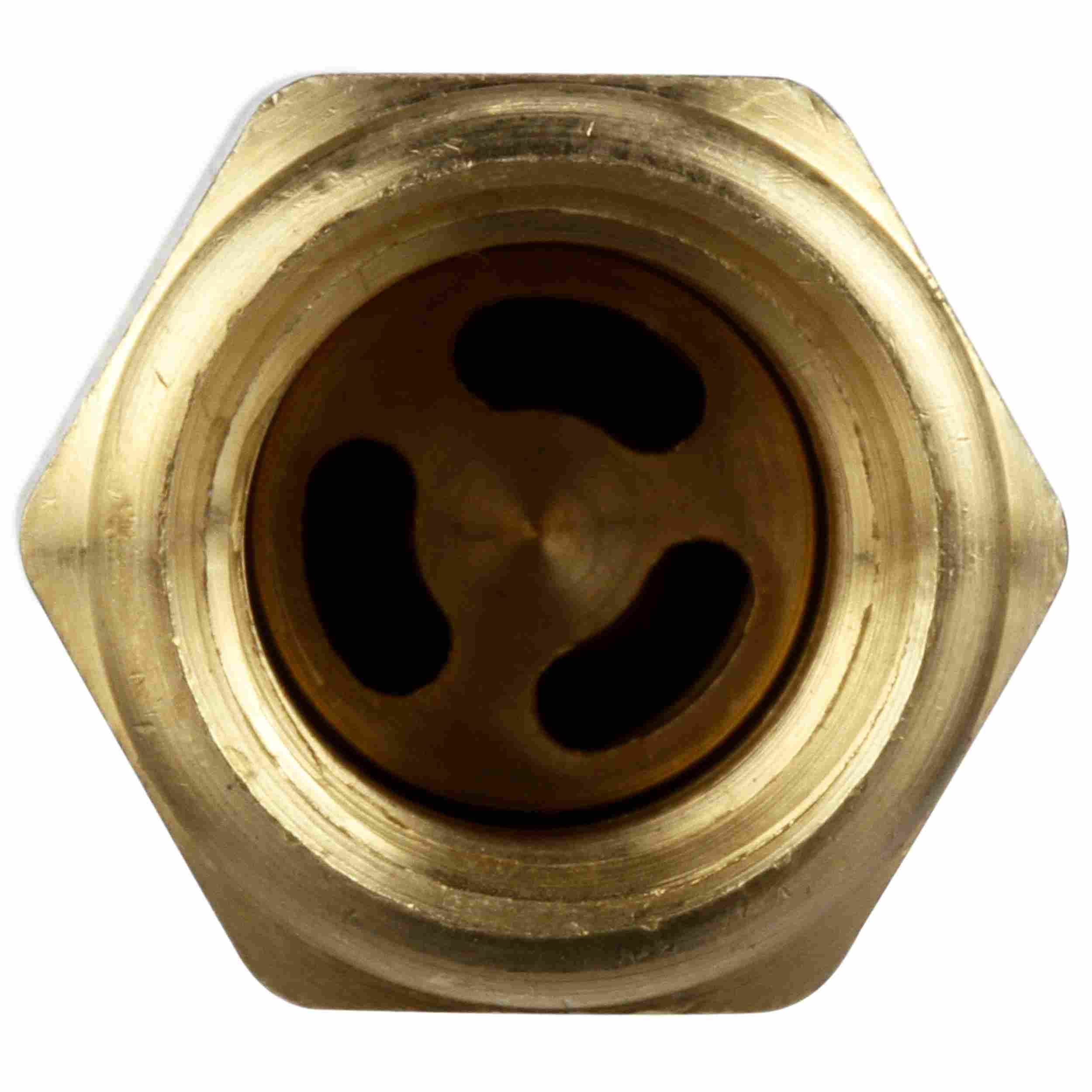 Delphi Fuel Pump Check Valve FA10016