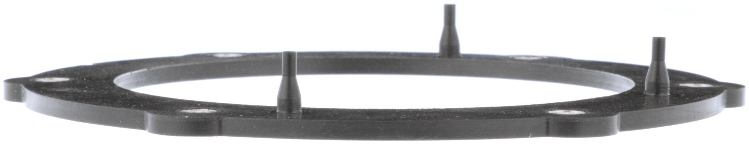 Delphi Fuel Pump Tank Seal FA10030