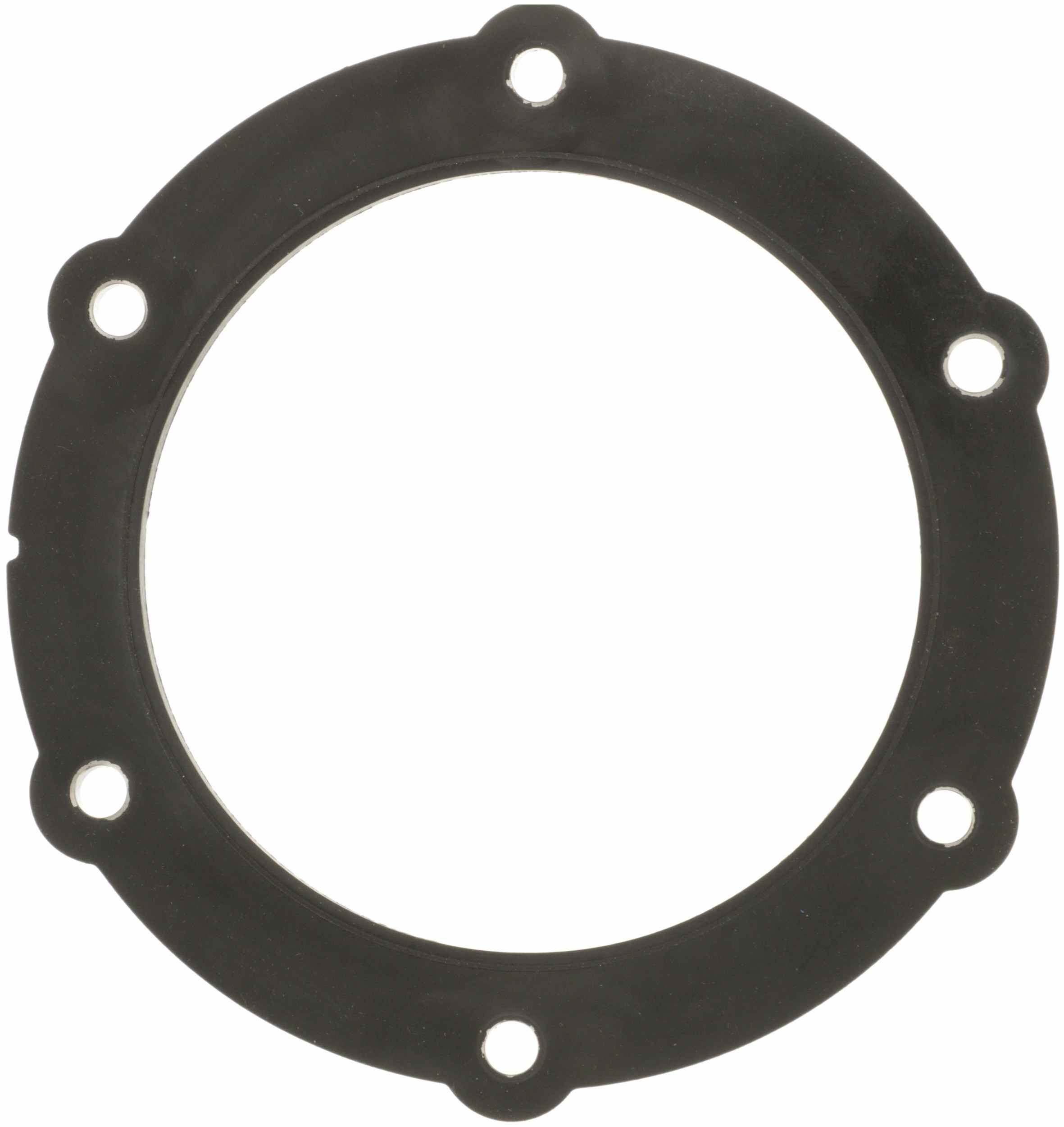 Delphi Fuel Pump Tank Seal FA10030
