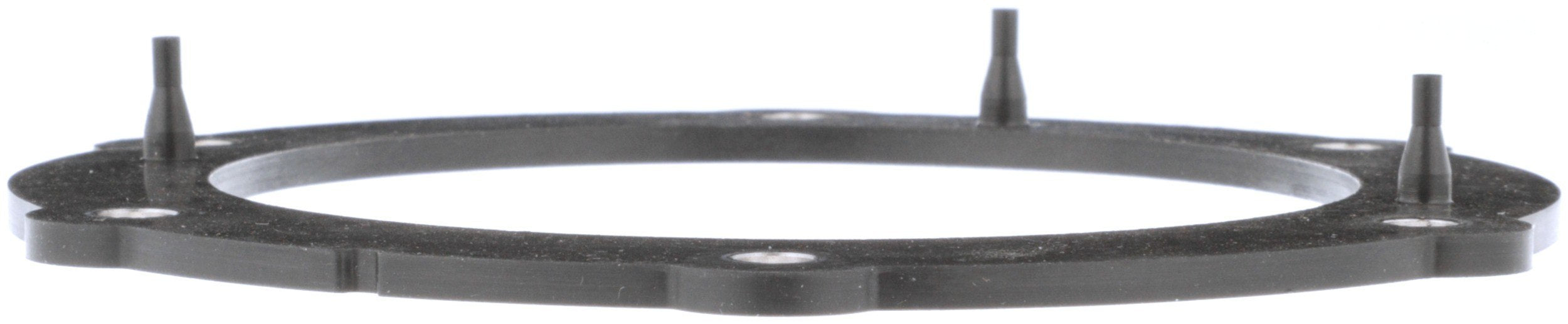 Delphi Fuel Pump Tank Seal FA10030