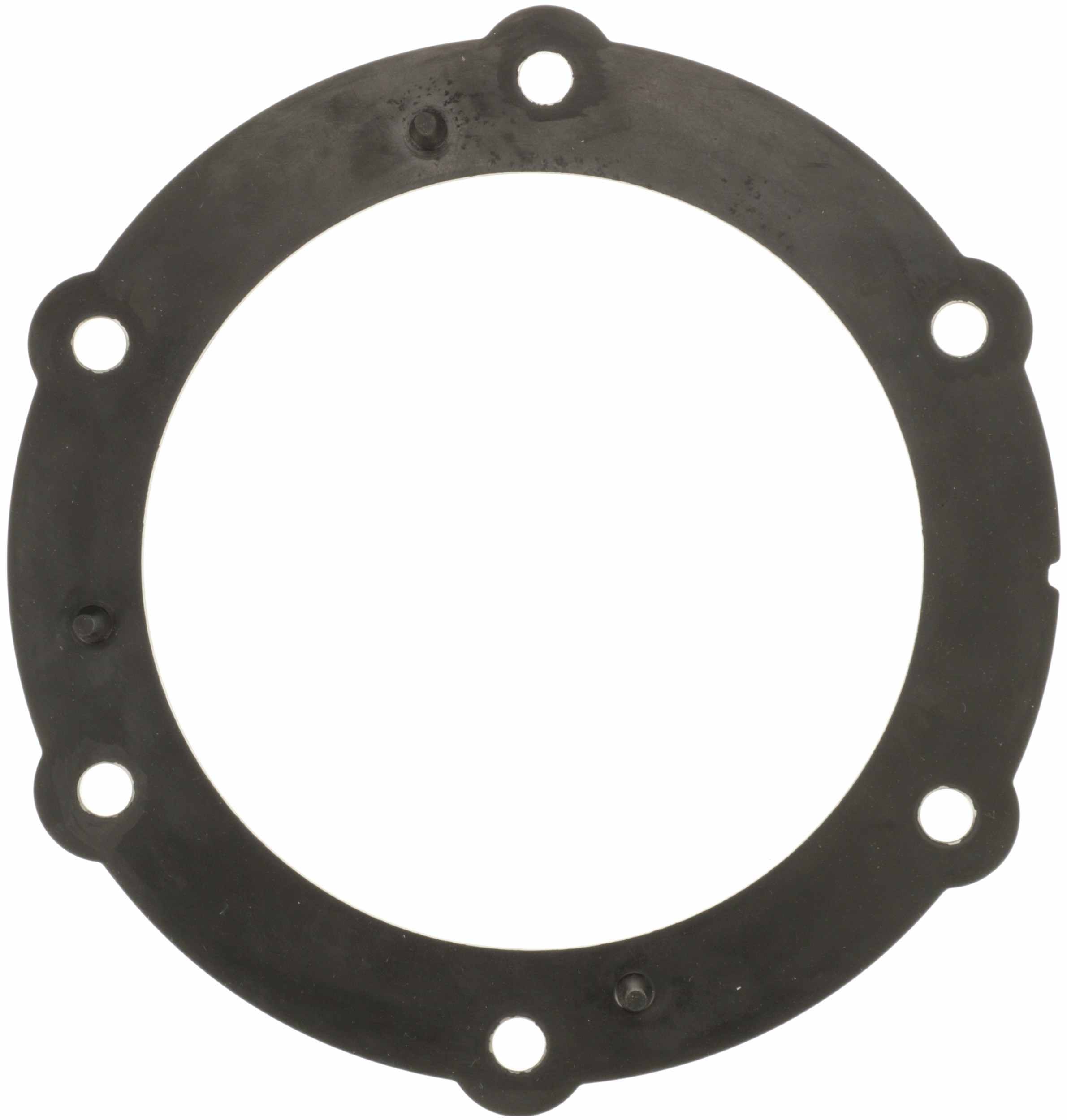 Delphi Fuel Pump Tank Seal FA10030