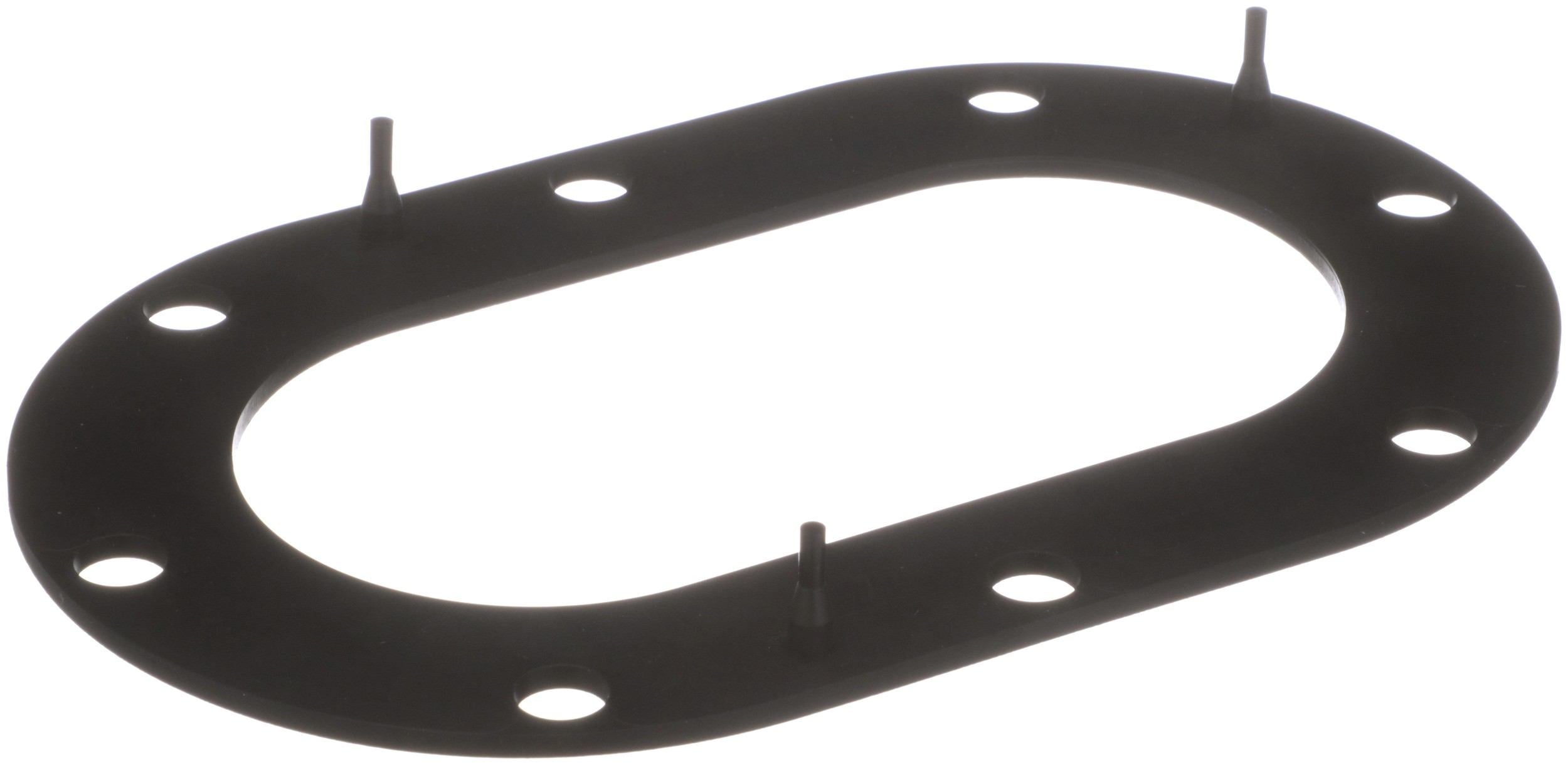 Delphi Fuel Pump Tank Seal FA10033