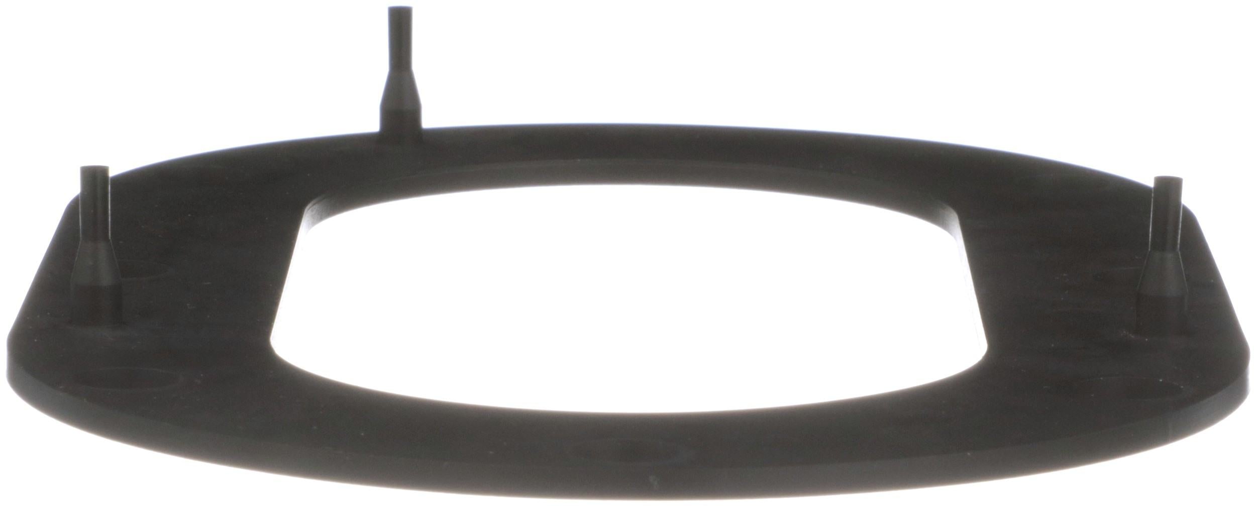Delphi Fuel Pump Tank Seal FA10033