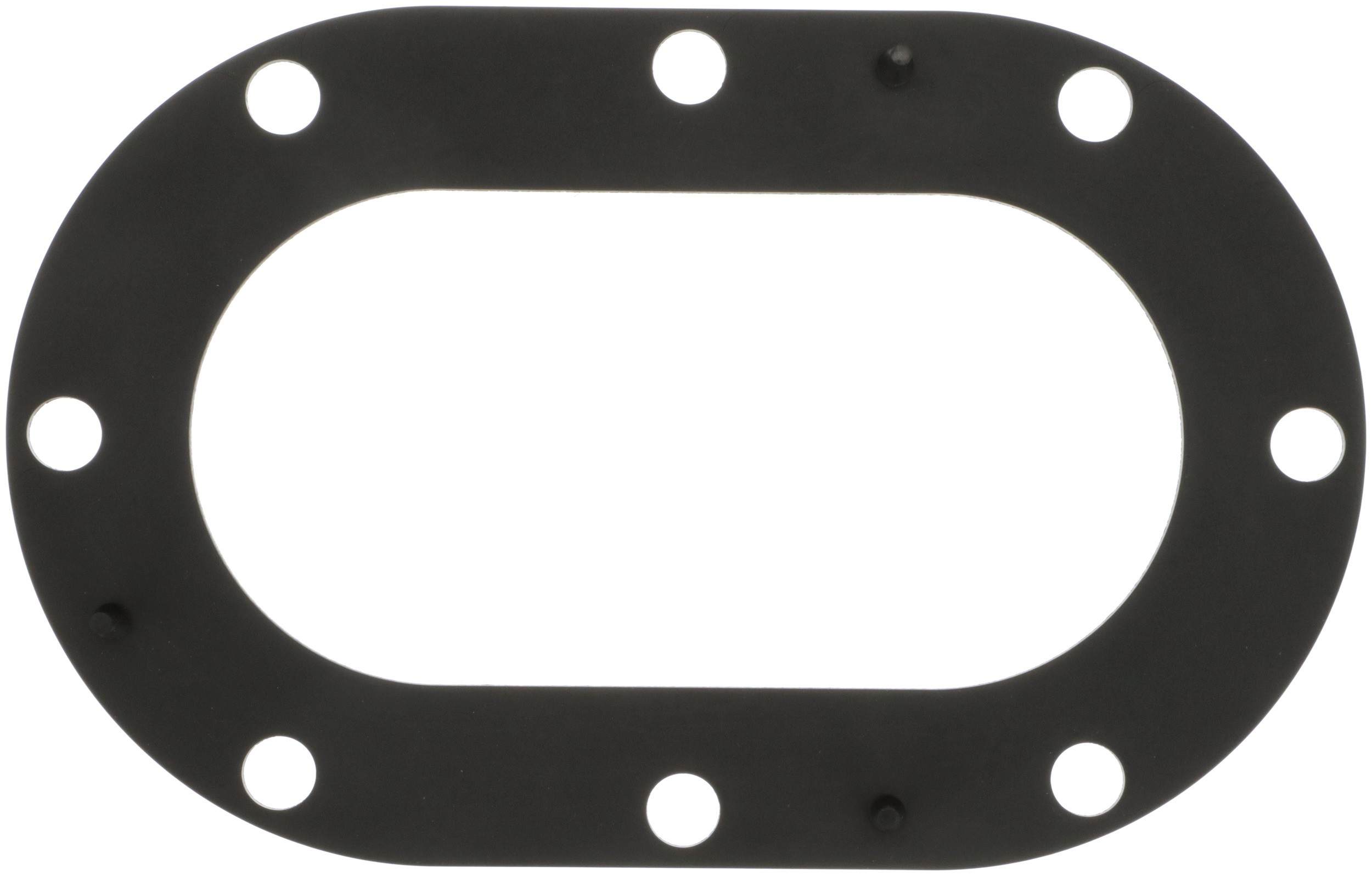 Delphi Fuel Pump Tank Seal FA10033