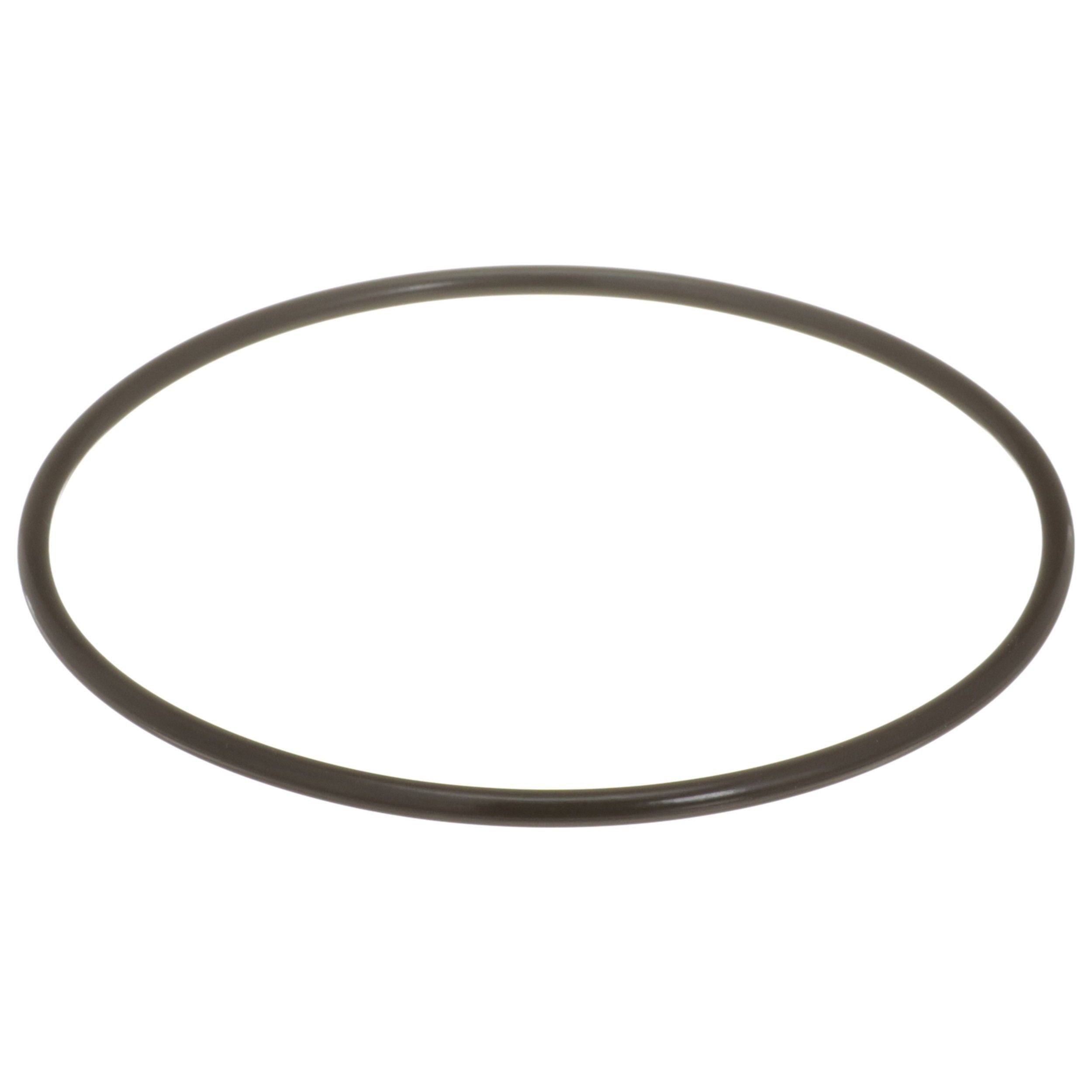 Delphi Fuel Tank Lock Ring FA10036
