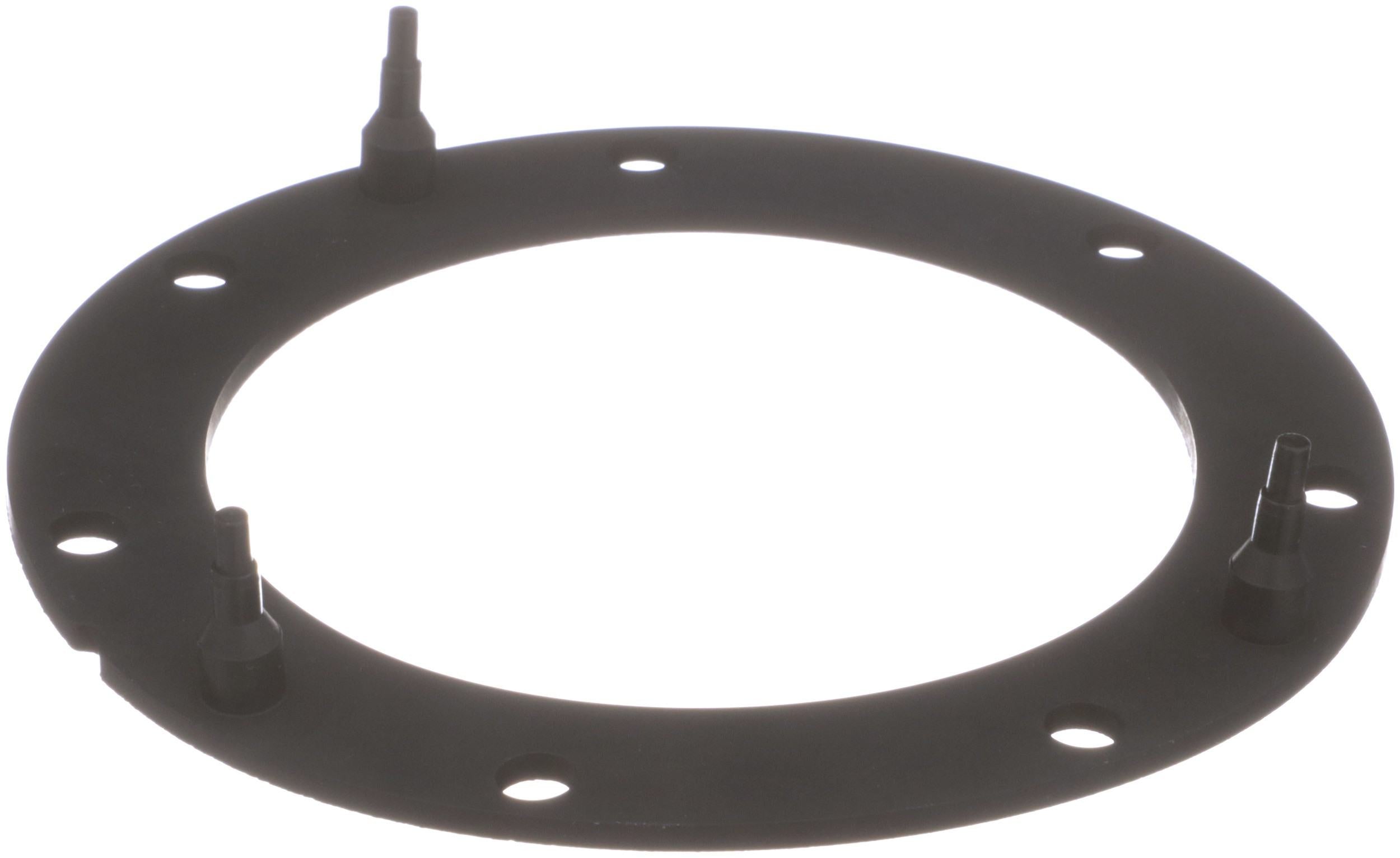 Delphi Fuel Pump Tank Seal FA10038