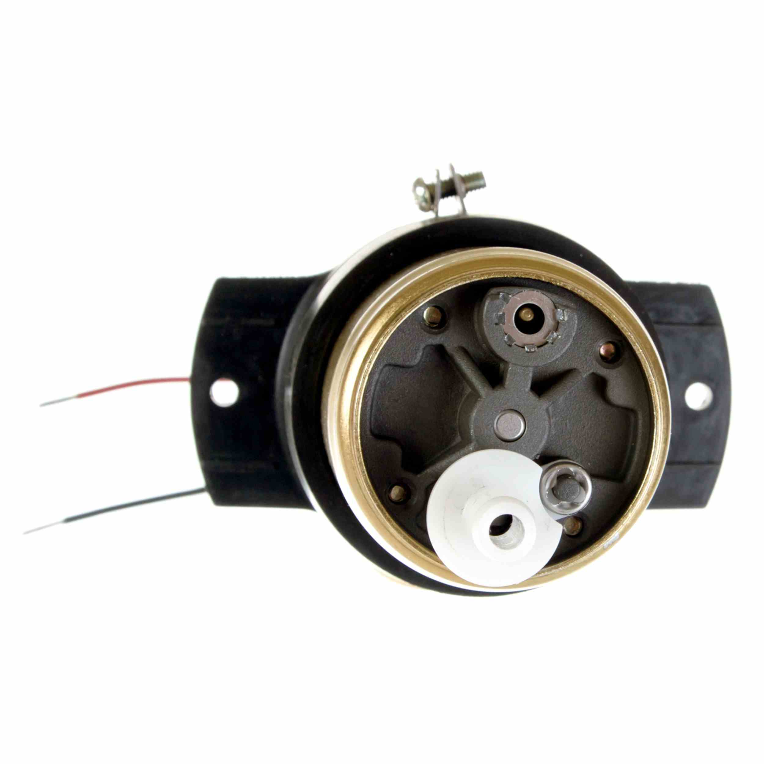 Delphi Fuel Pump and Strainer Set FE0099