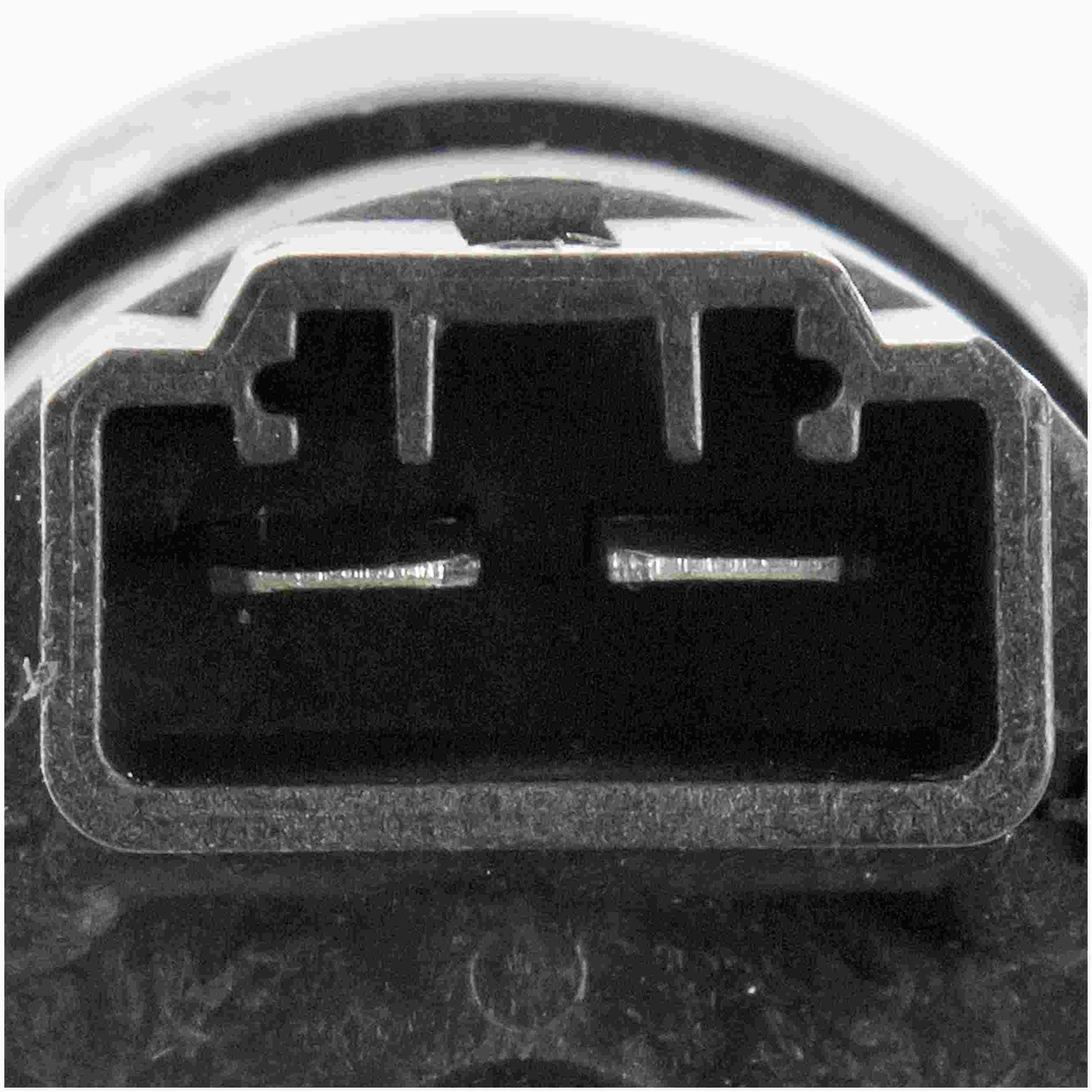 Delphi Electric Fuel Pump