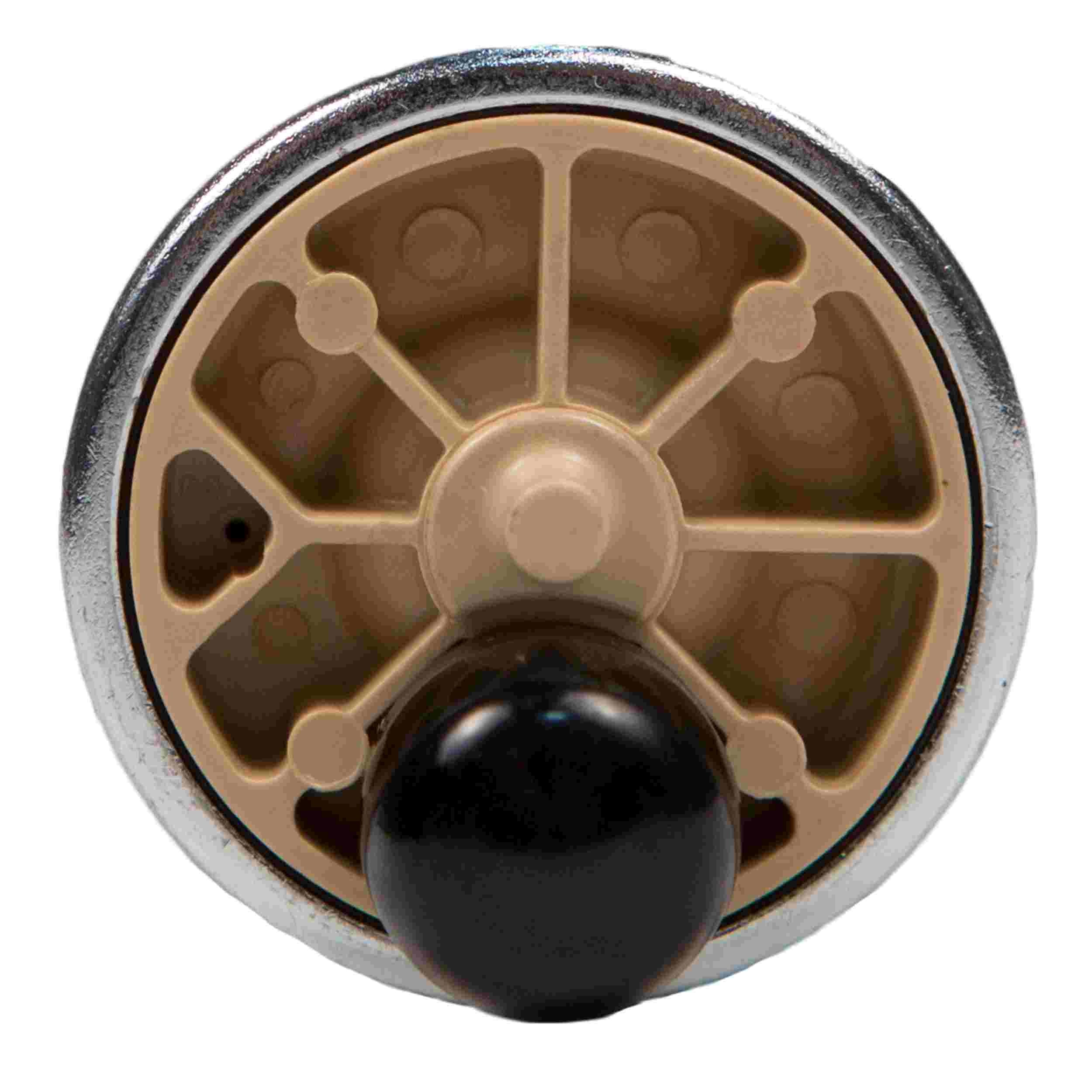 Delphi Fuel Pump and Strainer Set FE0418