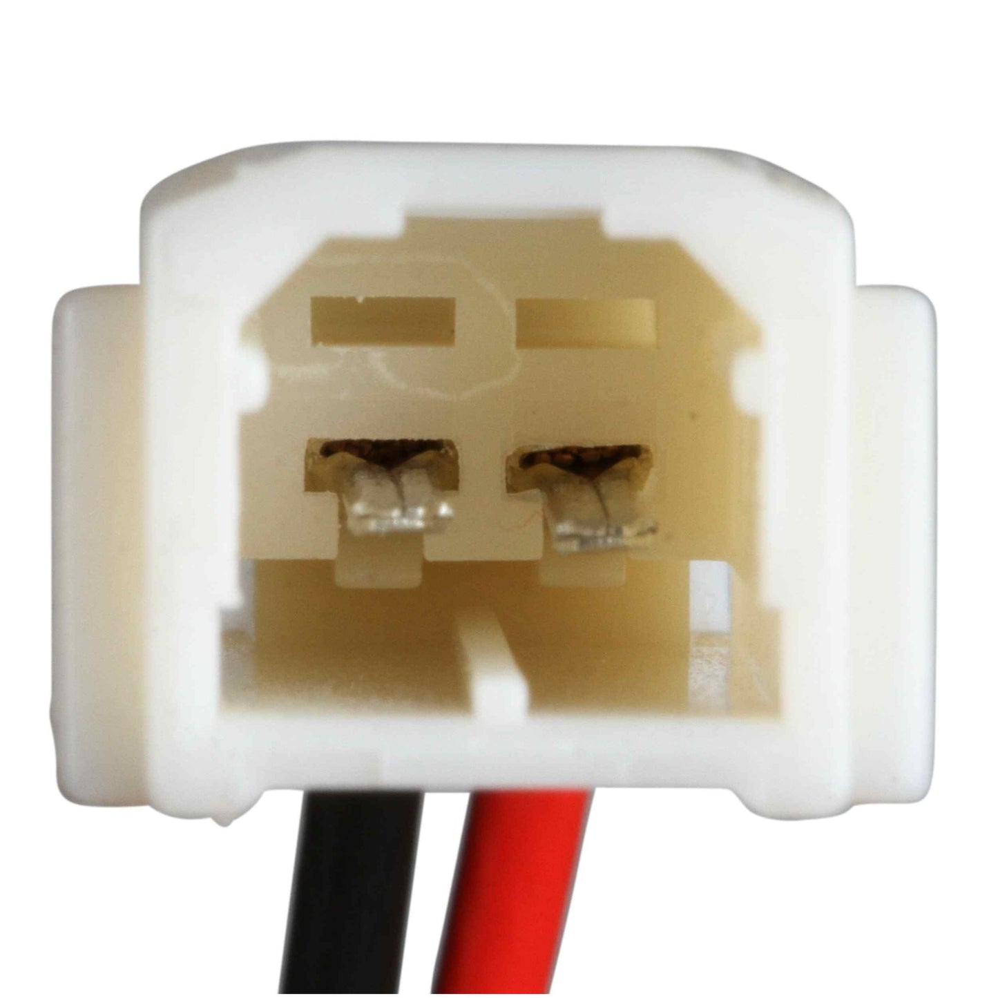 Delphi Fuel Pump and Strainer Set FE0420