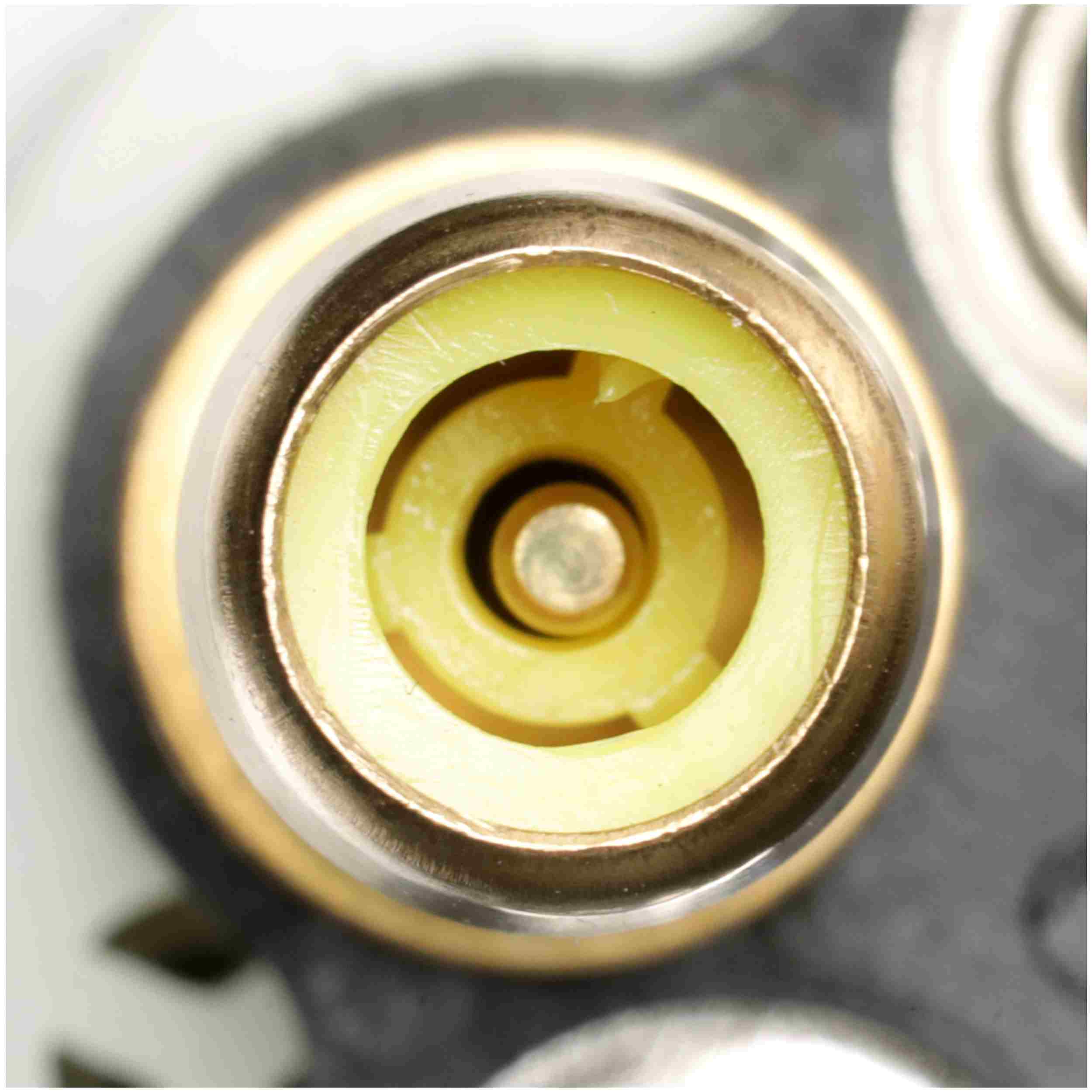 Delphi Fuel Pump and Strainer Set FE0431