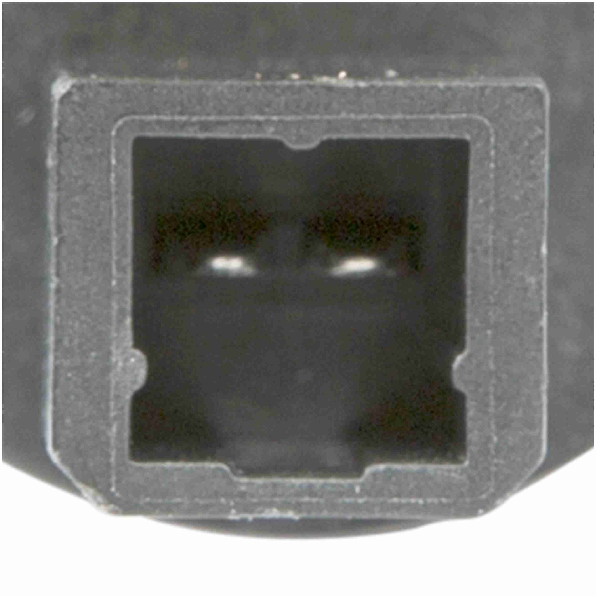 Delphi Fuel Pump and Strainer Set FE0485