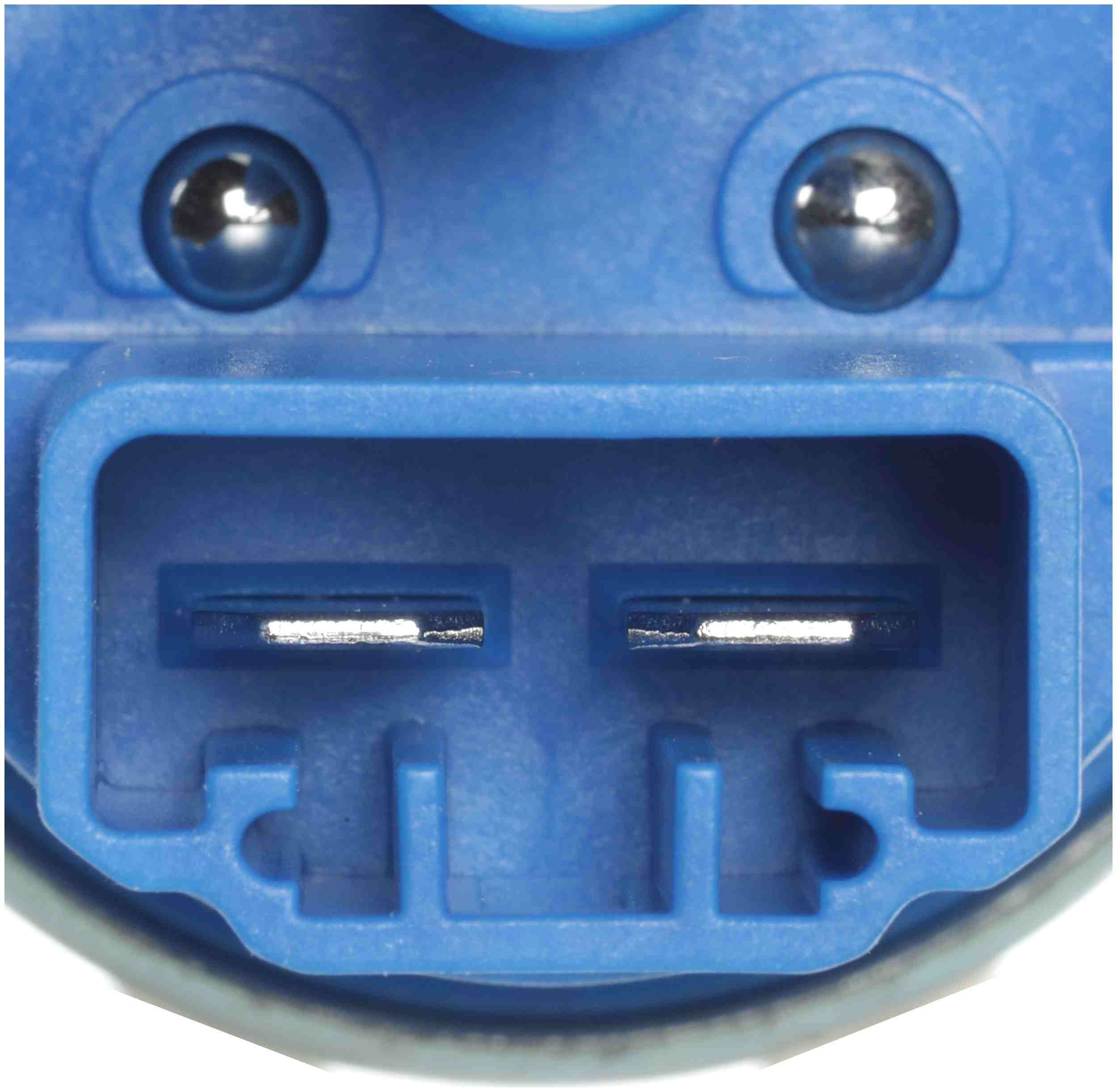 Delphi Fuel Pump and Strainer Set FE0690