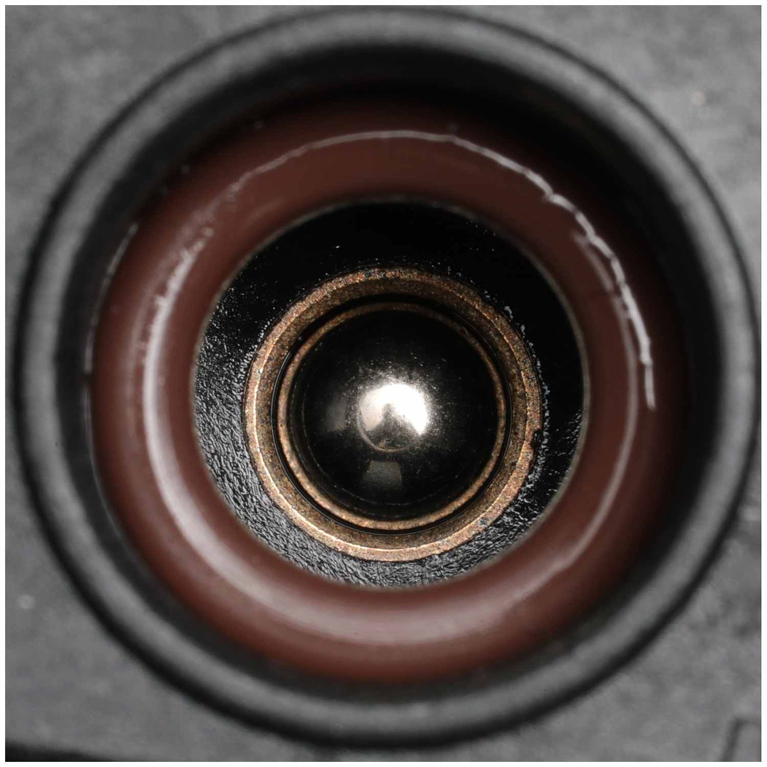 Delphi Fuel Pump and Strainer Set FE0706