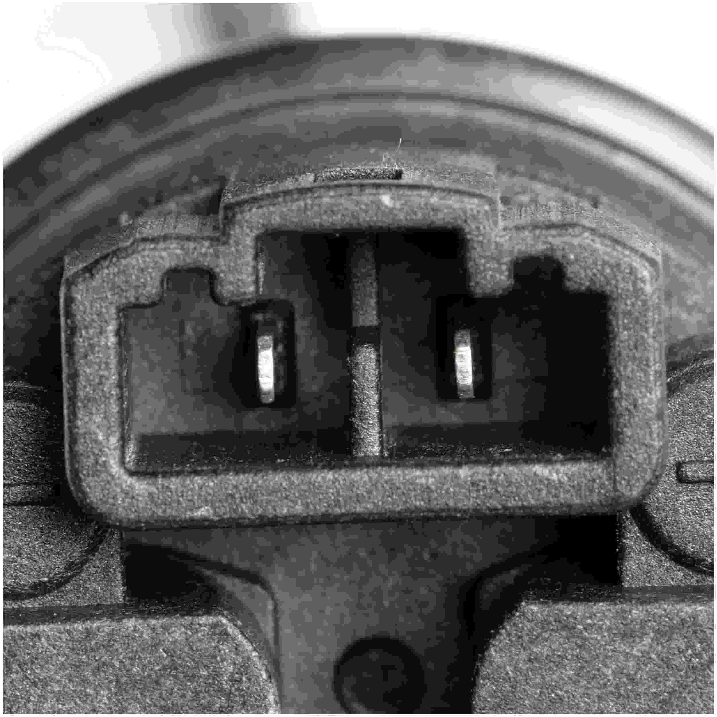 Delphi Fuel Pump and Strainer Set FE0711