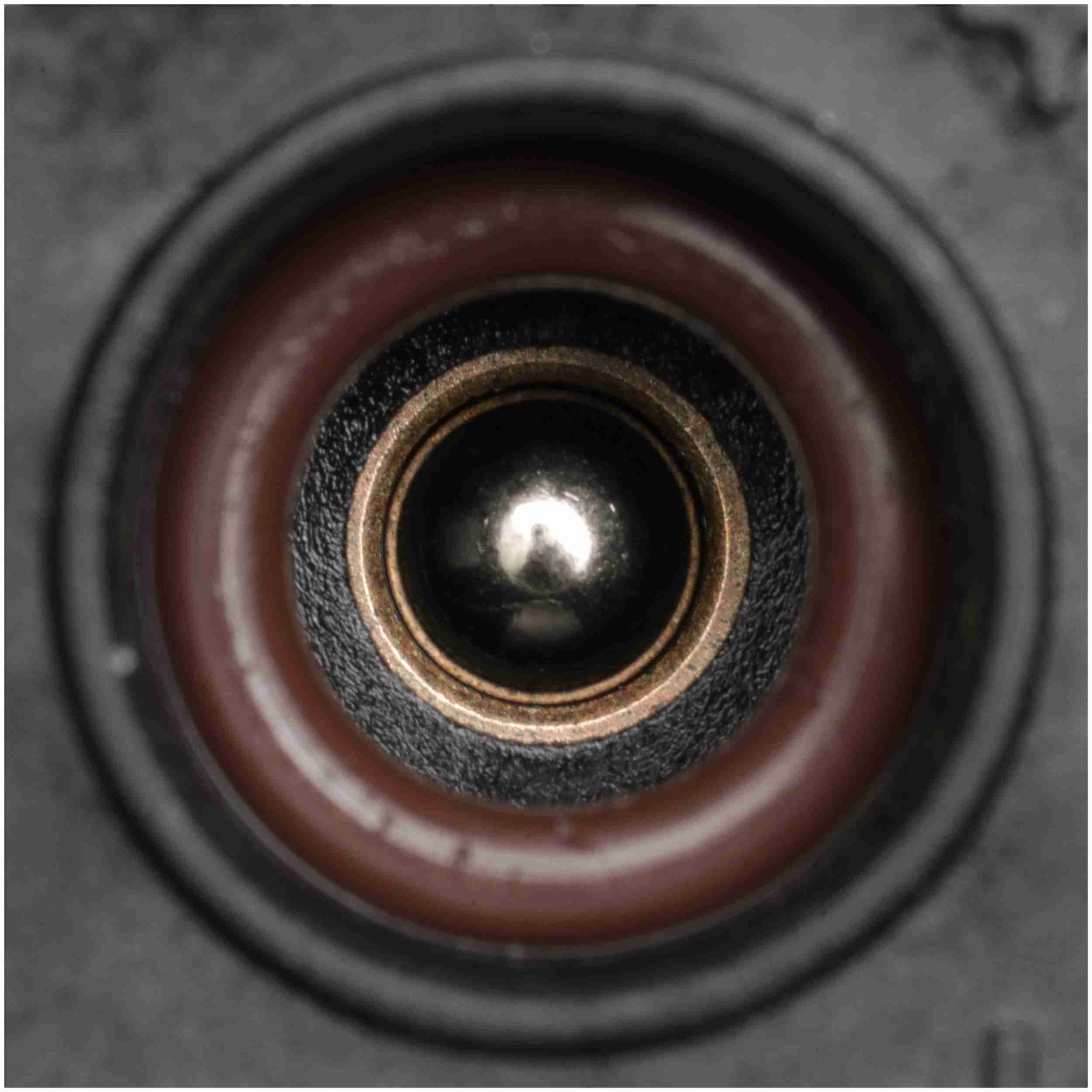 Delphi Fuel Pump and Strainer Set FE0712