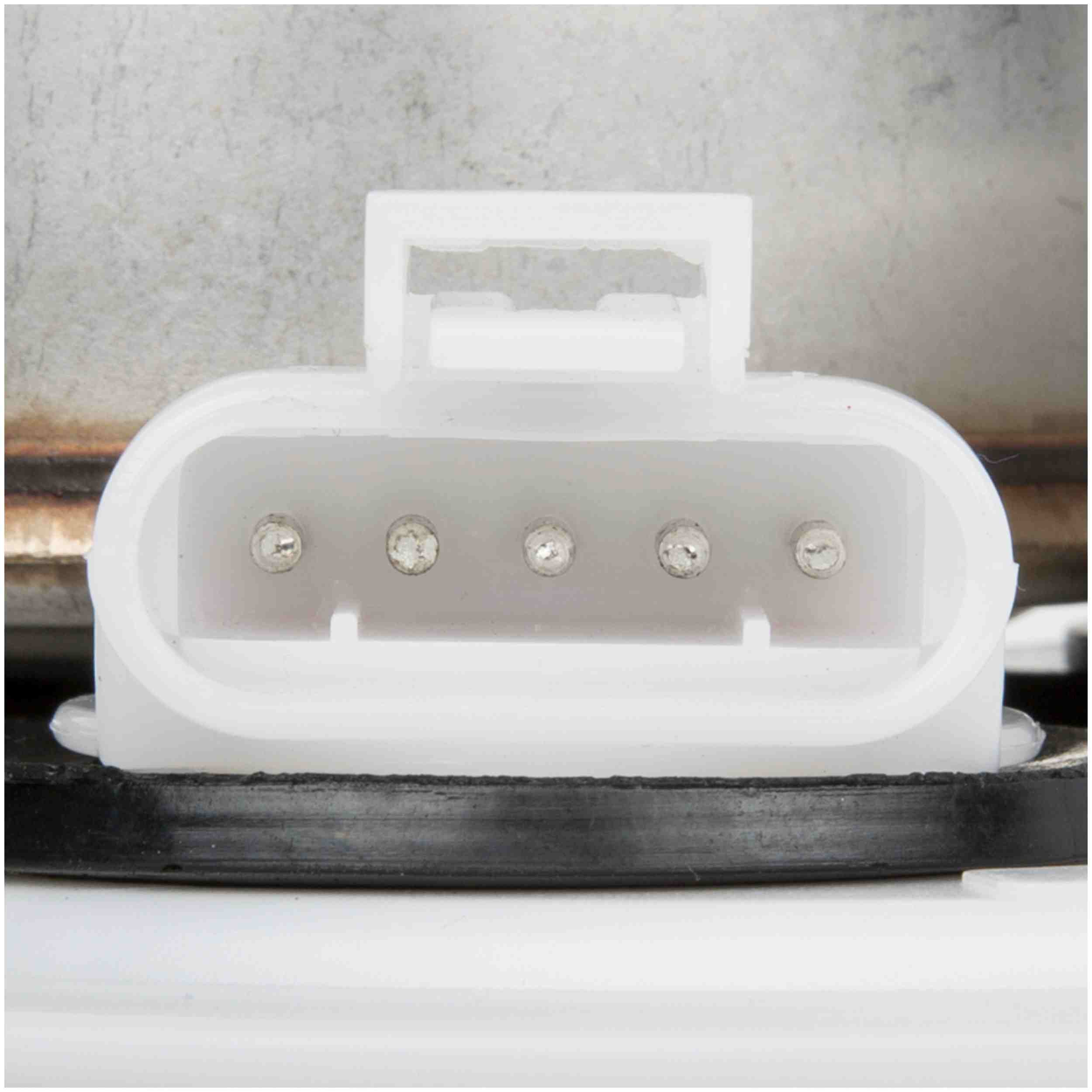 Delphi Fuel Pump Module Assembly FG0224