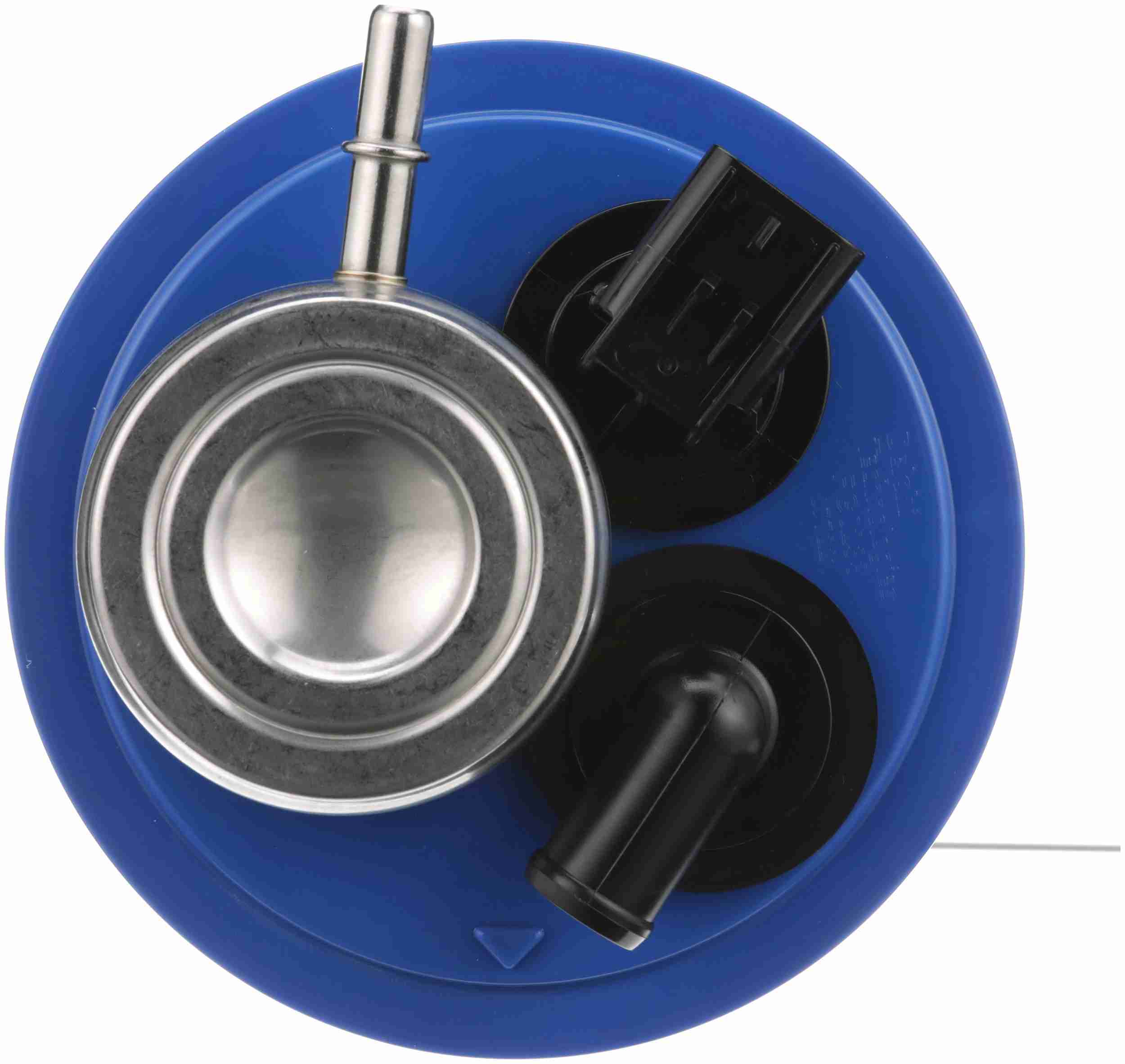 Delphi Fuel Pump Module Assembly FG0233