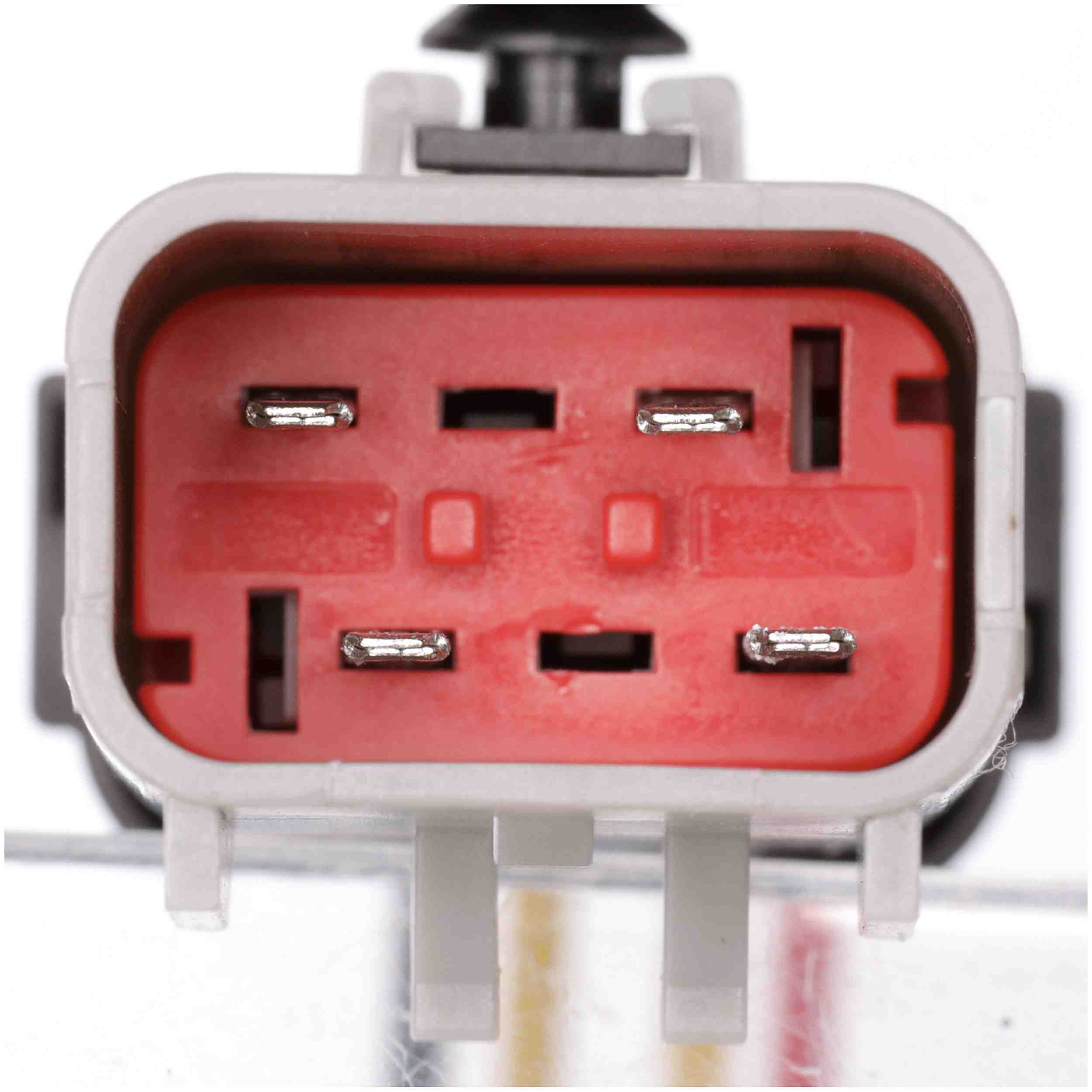 Delphi Fuel Pump Module Assembly FG0813