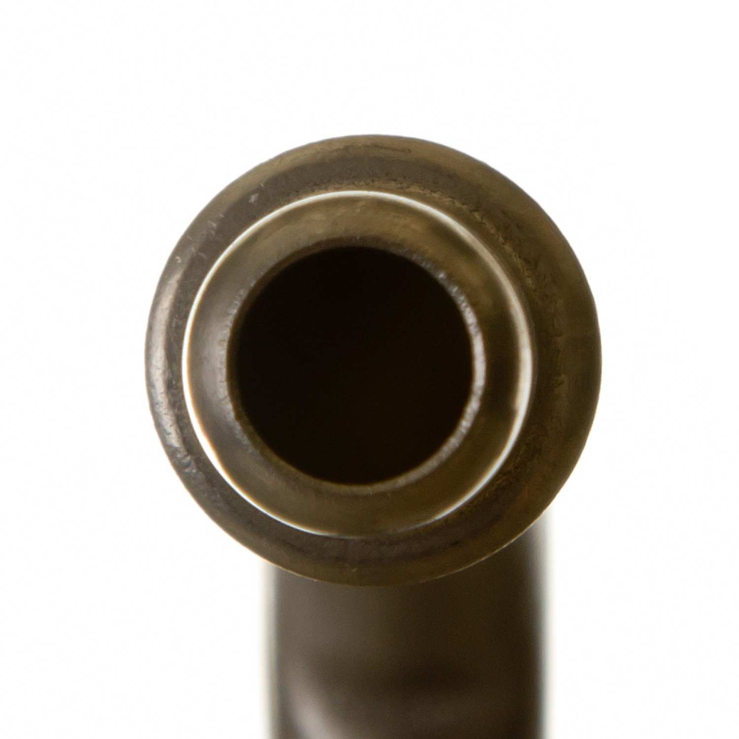 Delphi Fuel Pump Module Assembly FG0831