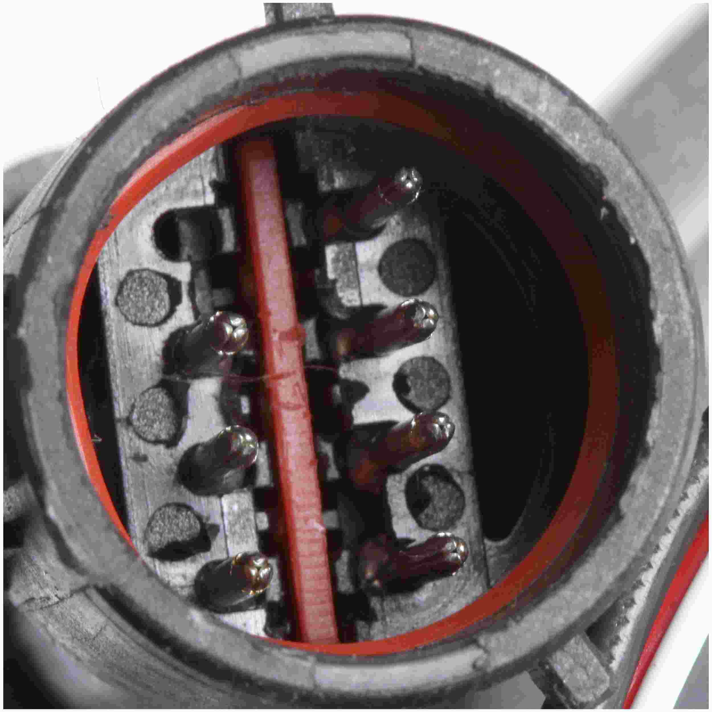 Delphi Fuel Pump Module Assembly FG0840