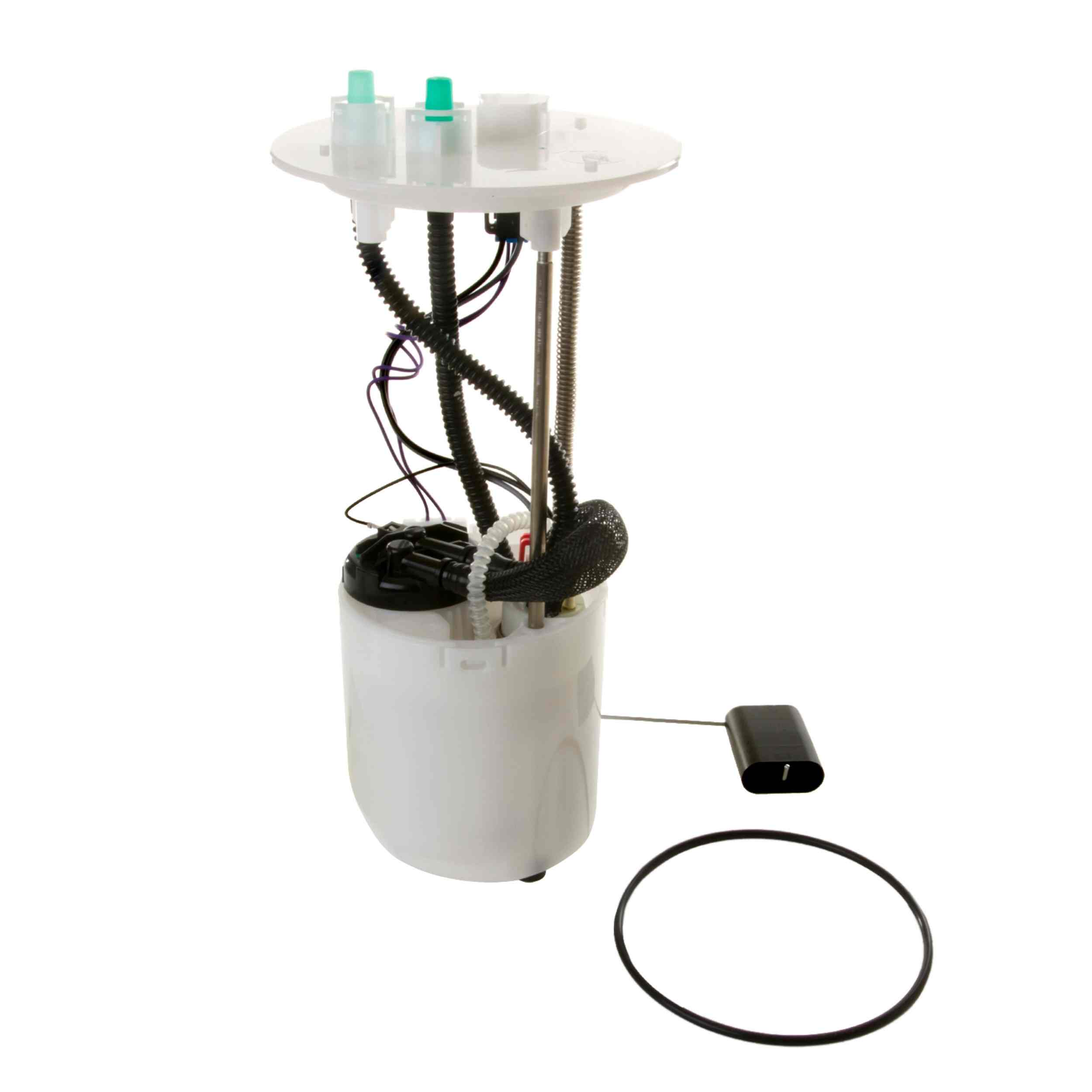 Delphi Fuel Pump Module Assembly FG0919