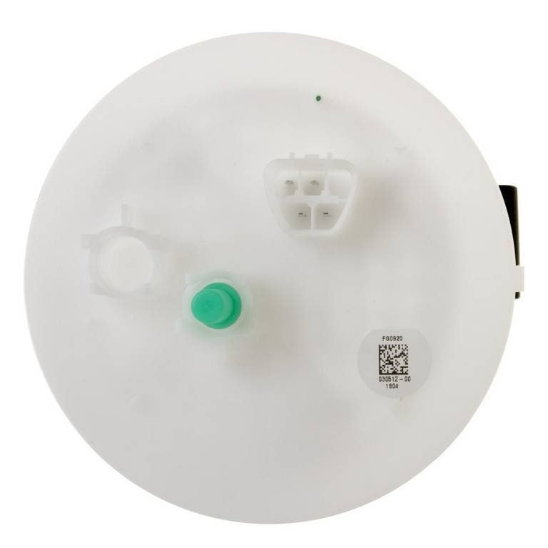 Delphi Fuel Pump Module Assembly FG0920
