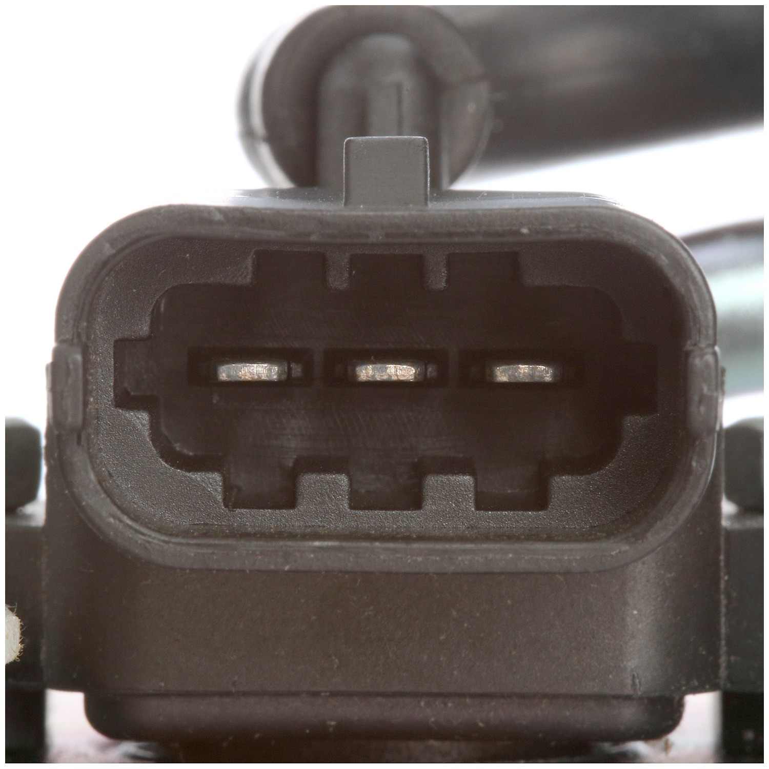 Delphi Fuel Pump Module Assembly FG1231