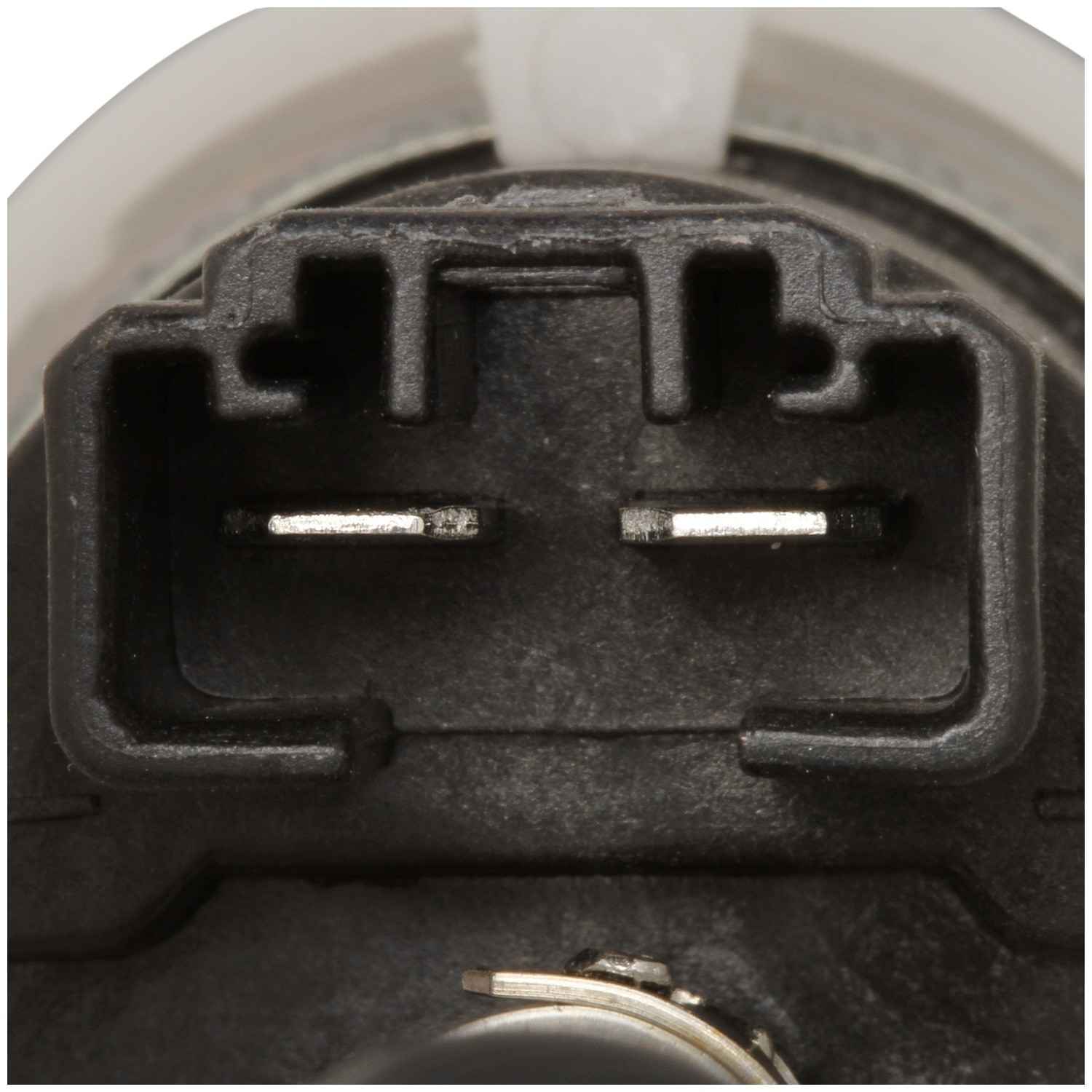 Delphi Fuel Pump and Strainer Set FG1352