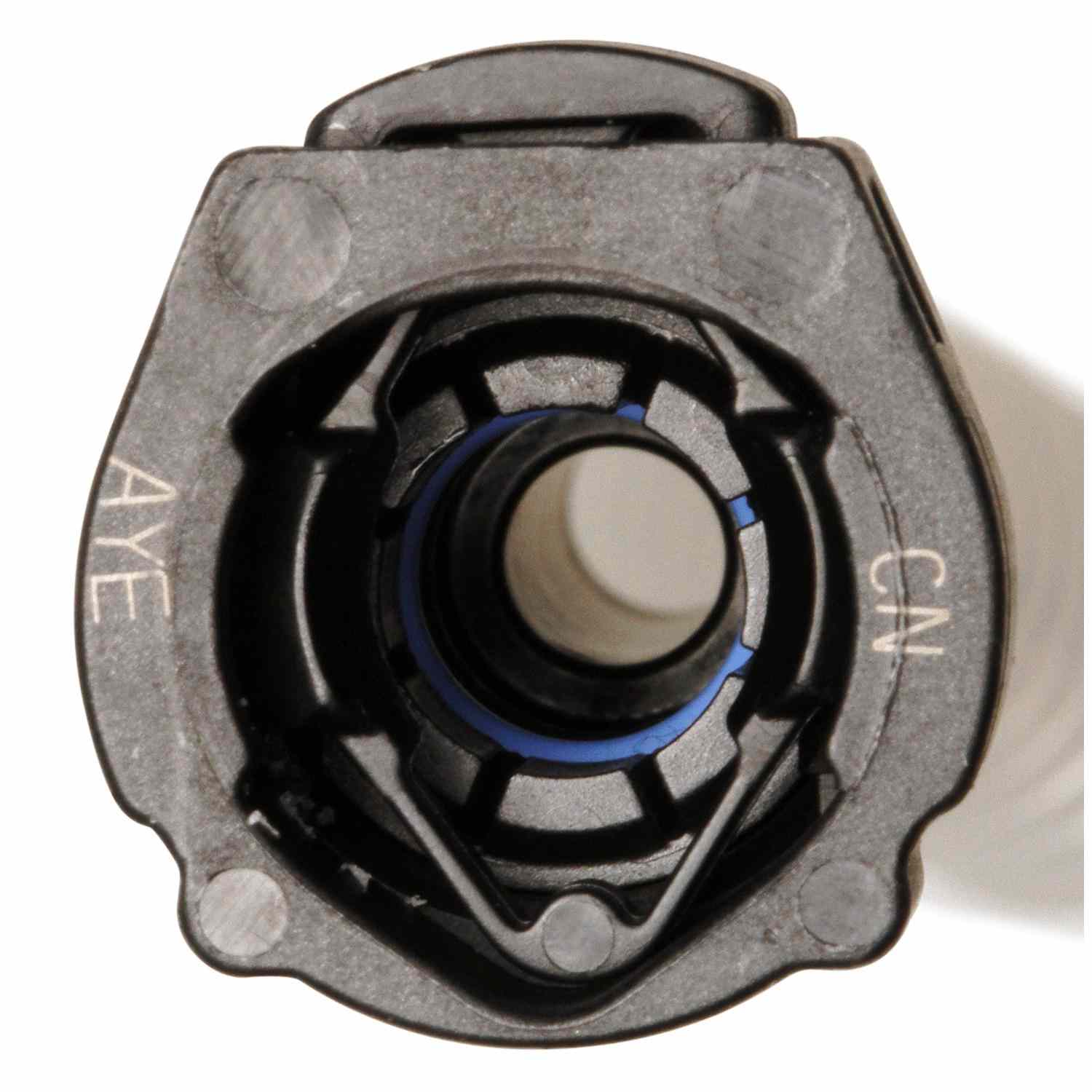 Delphi Fuel Pump and Strainer Set FG1404