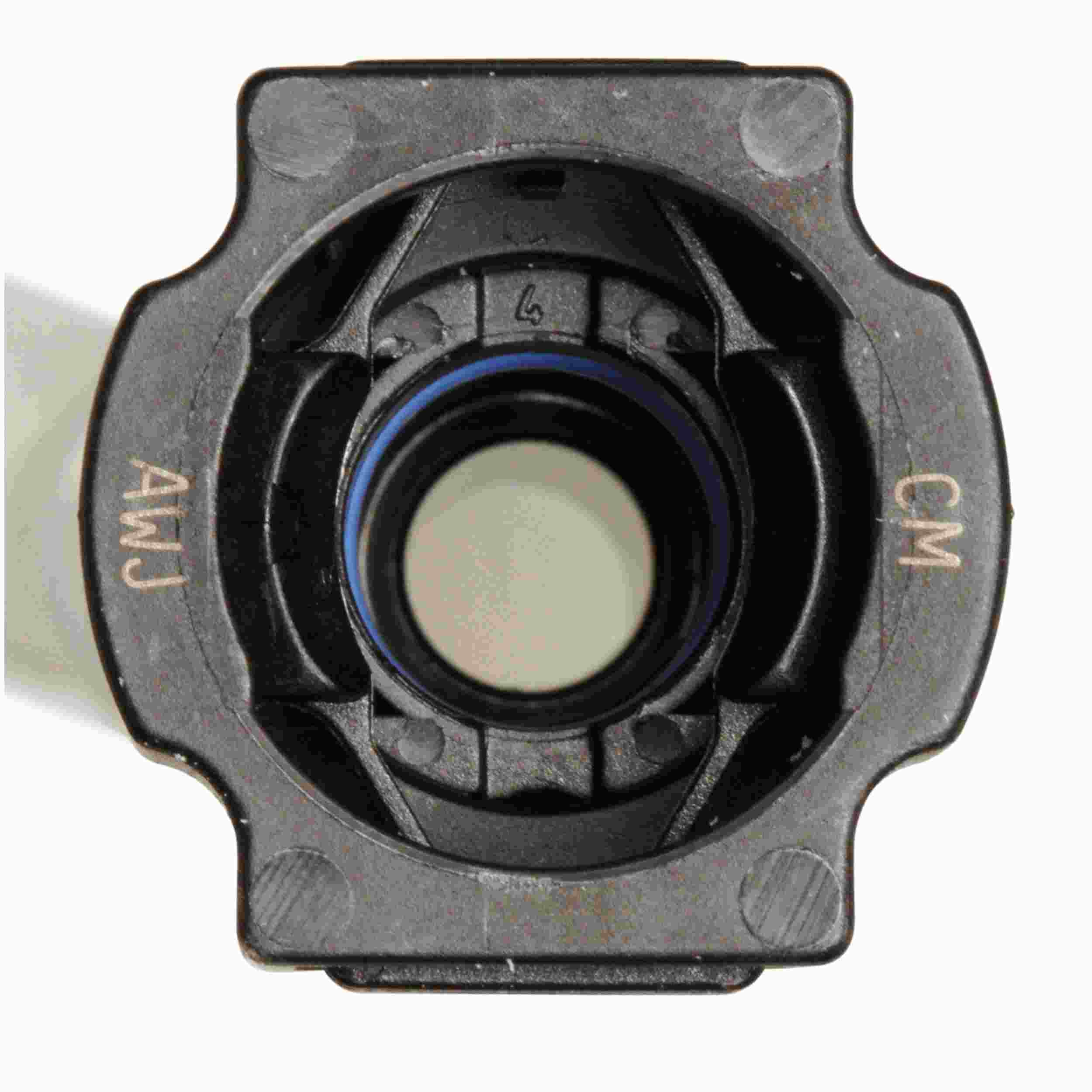 Delphi Fuel Pump and Strainer Set FG1404