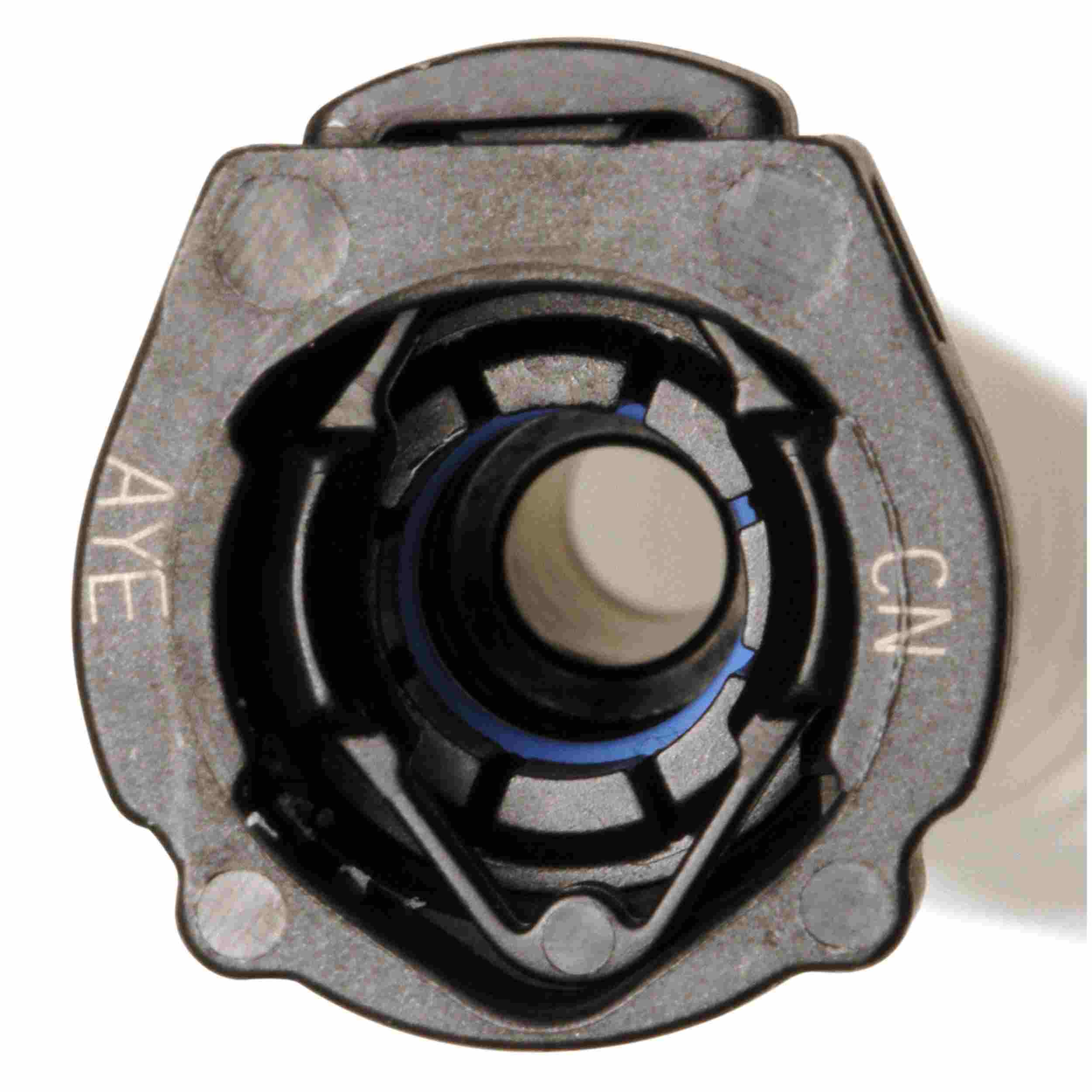 Delphi Fuel Pump and Strainer Set FG1404