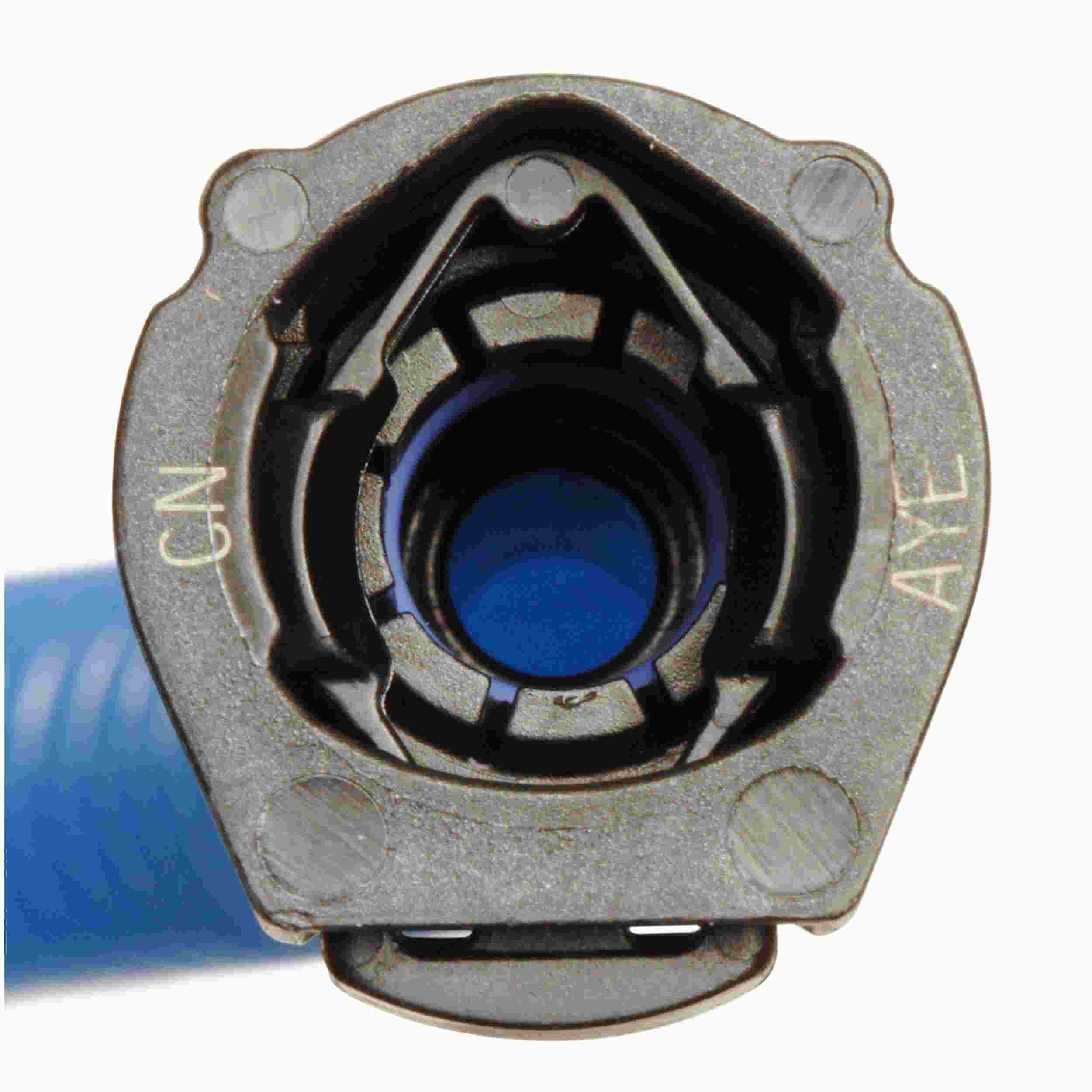 Delphi Fuel Pump and Strainer Set FG1405