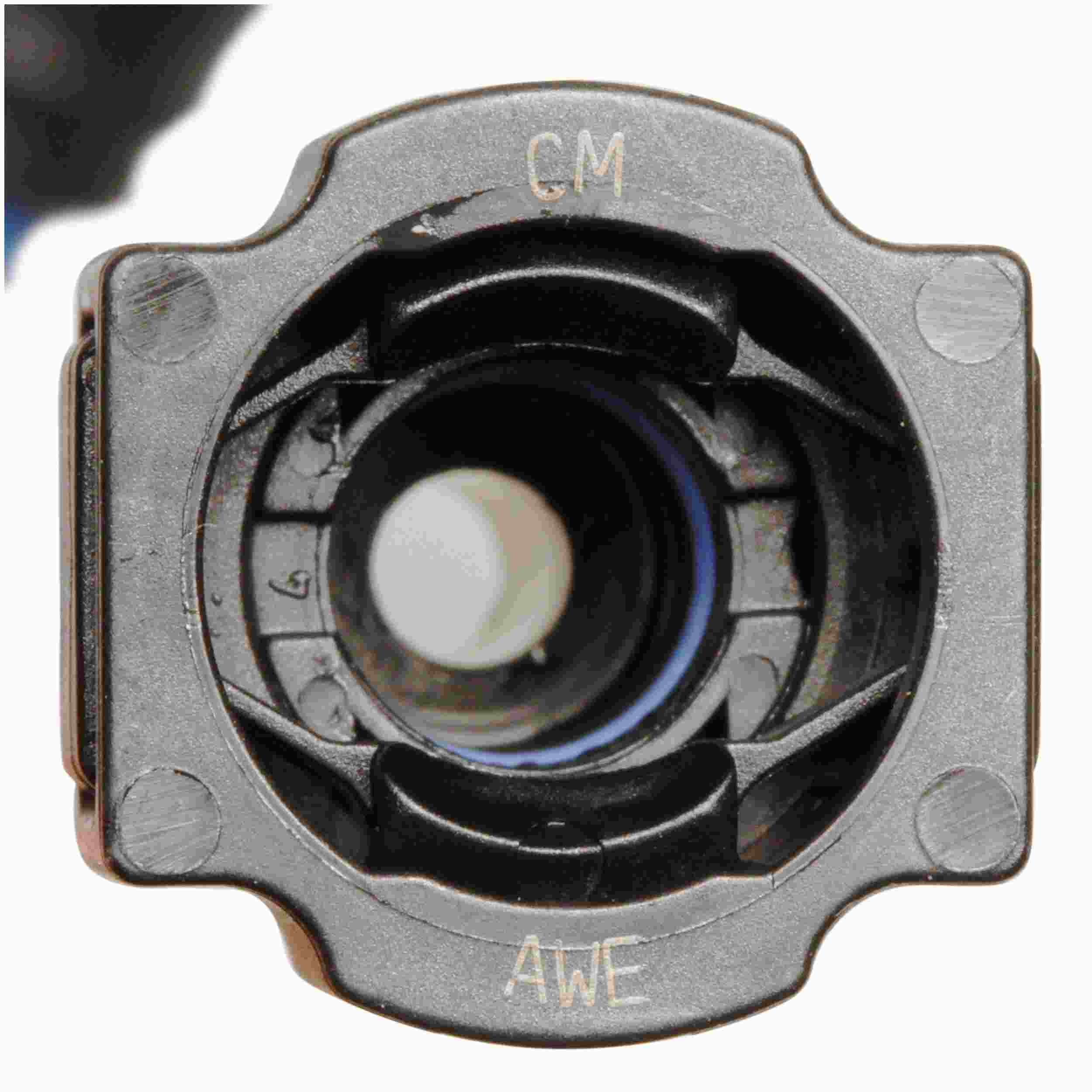 Delphi Fuel Pump and Strainer Set FG1405