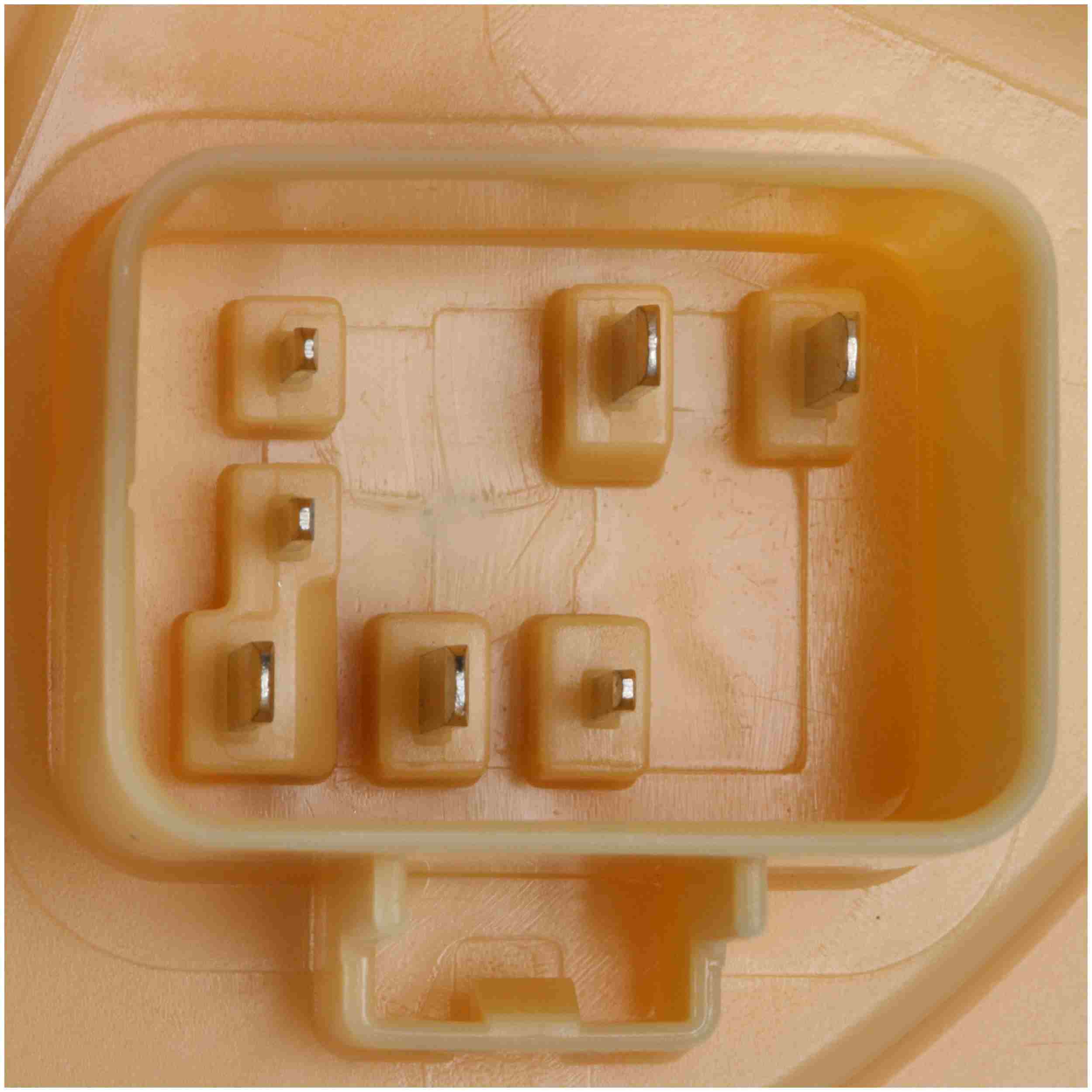 Delphi Fuel Pump Module Assembly FG1617