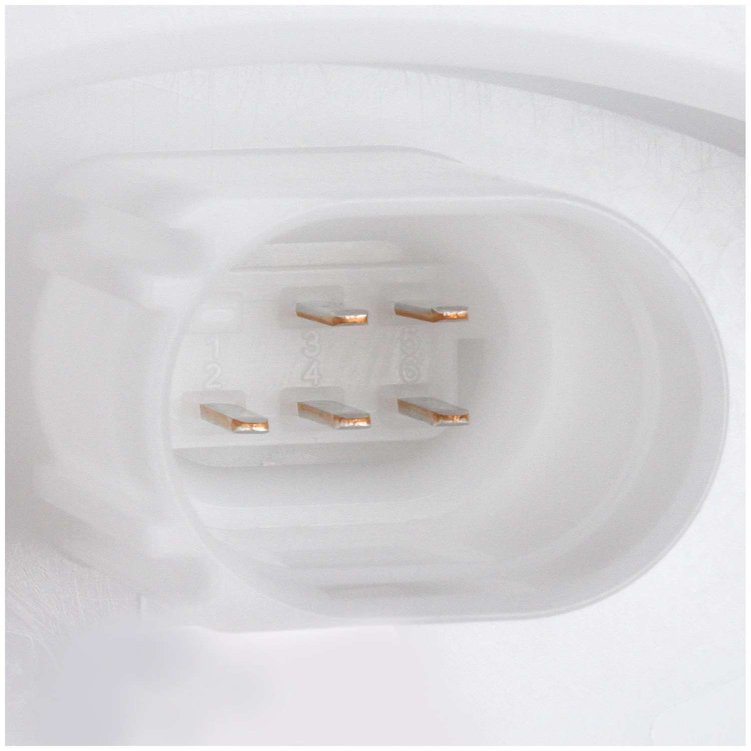 Delphi Fuel Pump Module Assembly FG1634