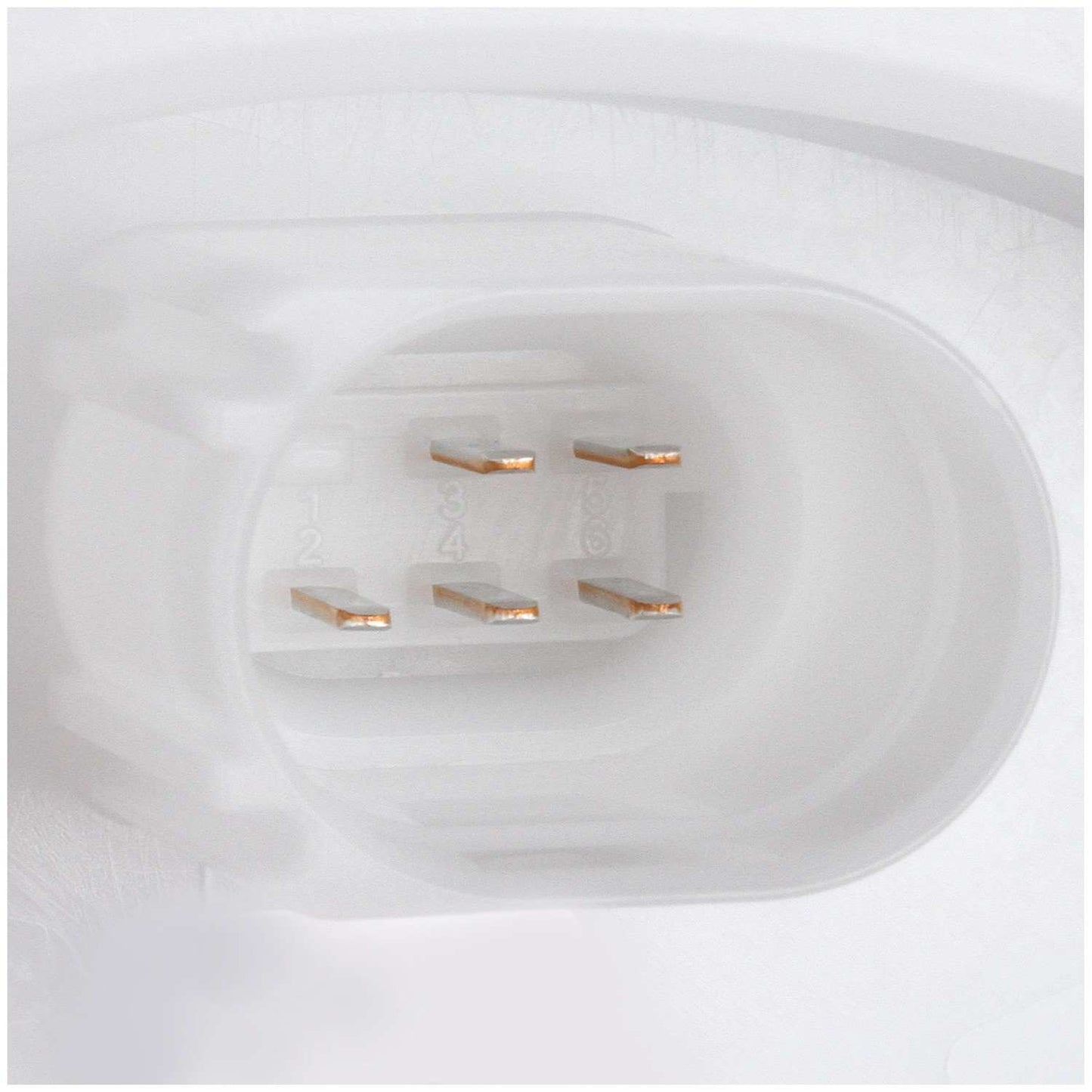 Delphi Fuel Pump Module Assembly FG1634