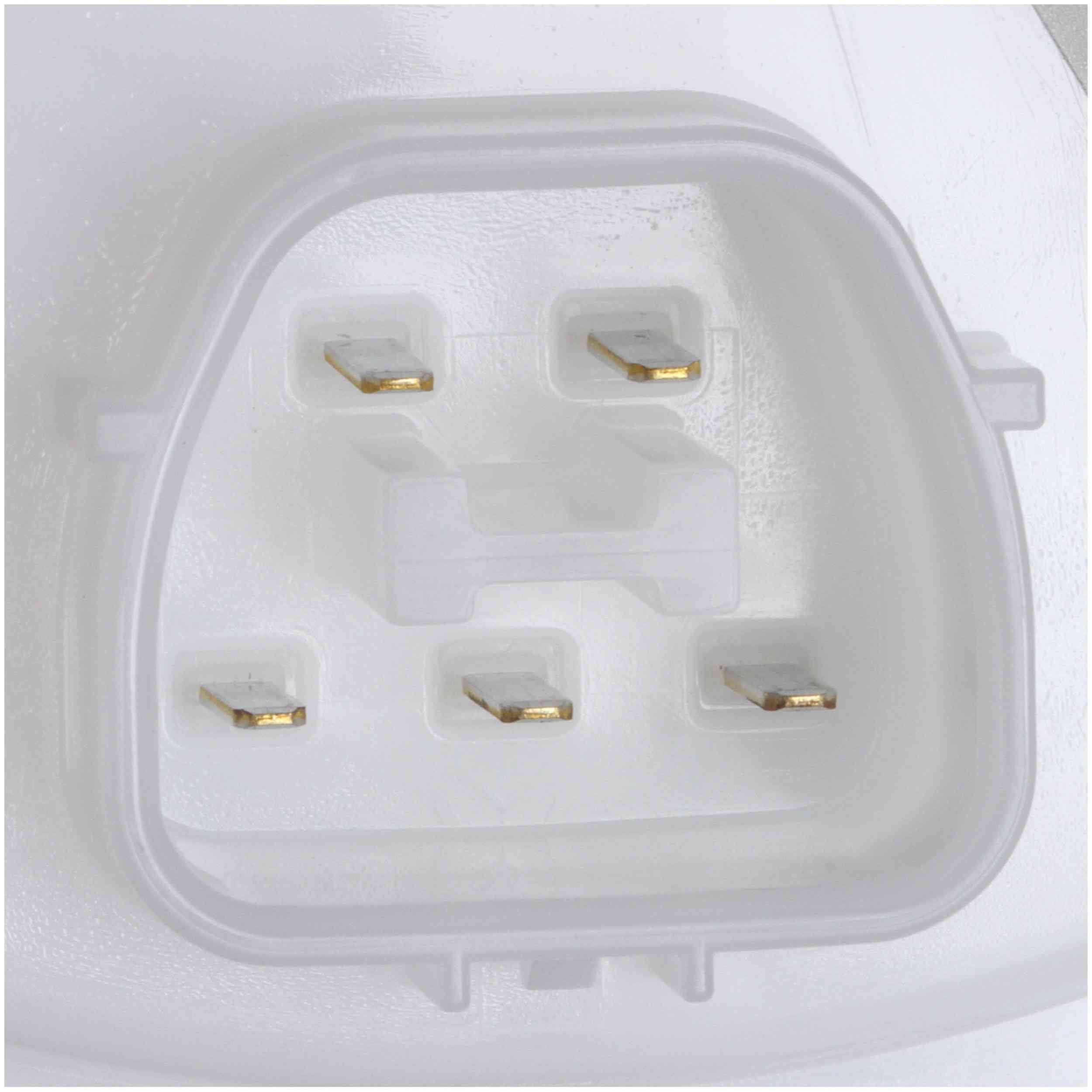 Delphi Fuel Pump Module Assembly FG1673