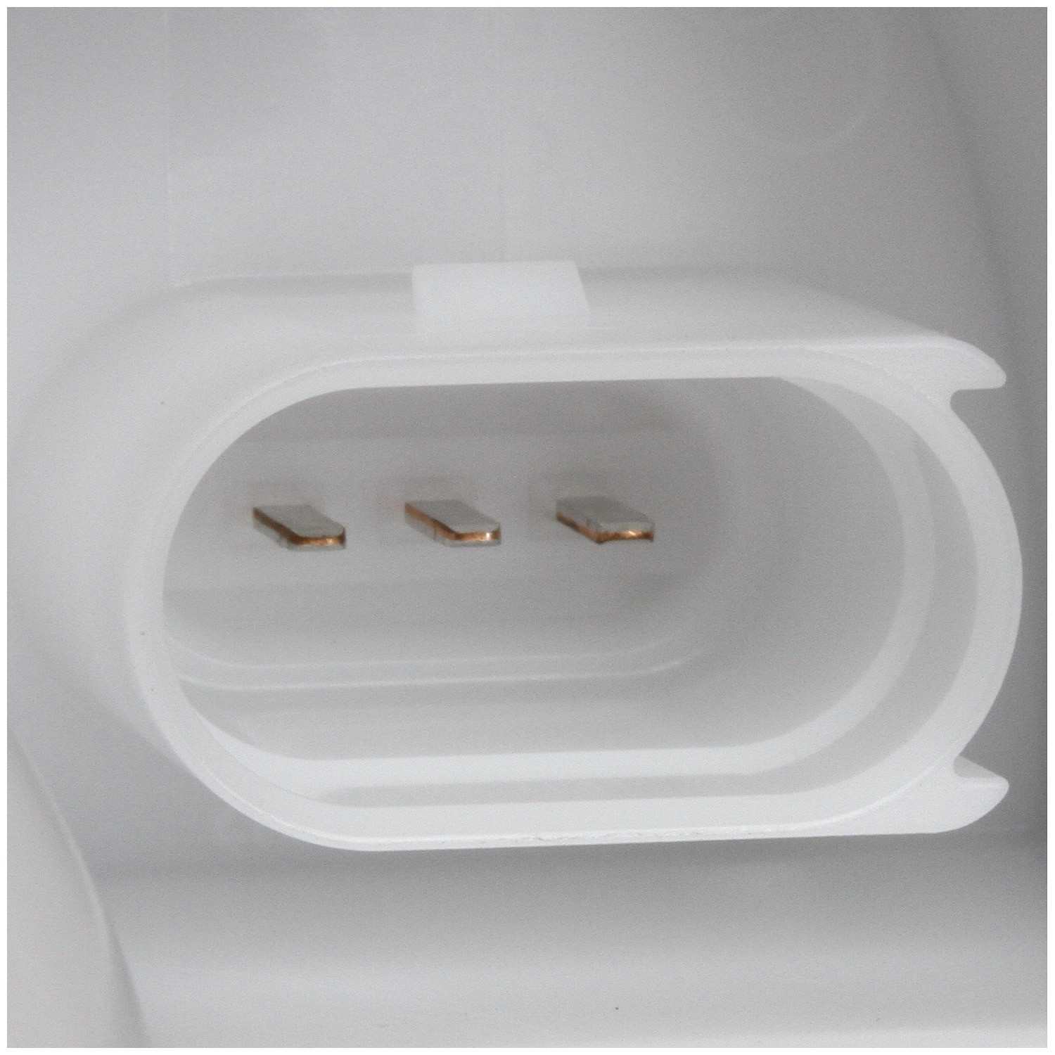 Delphi Fuel Pump Module Assembly FG1684