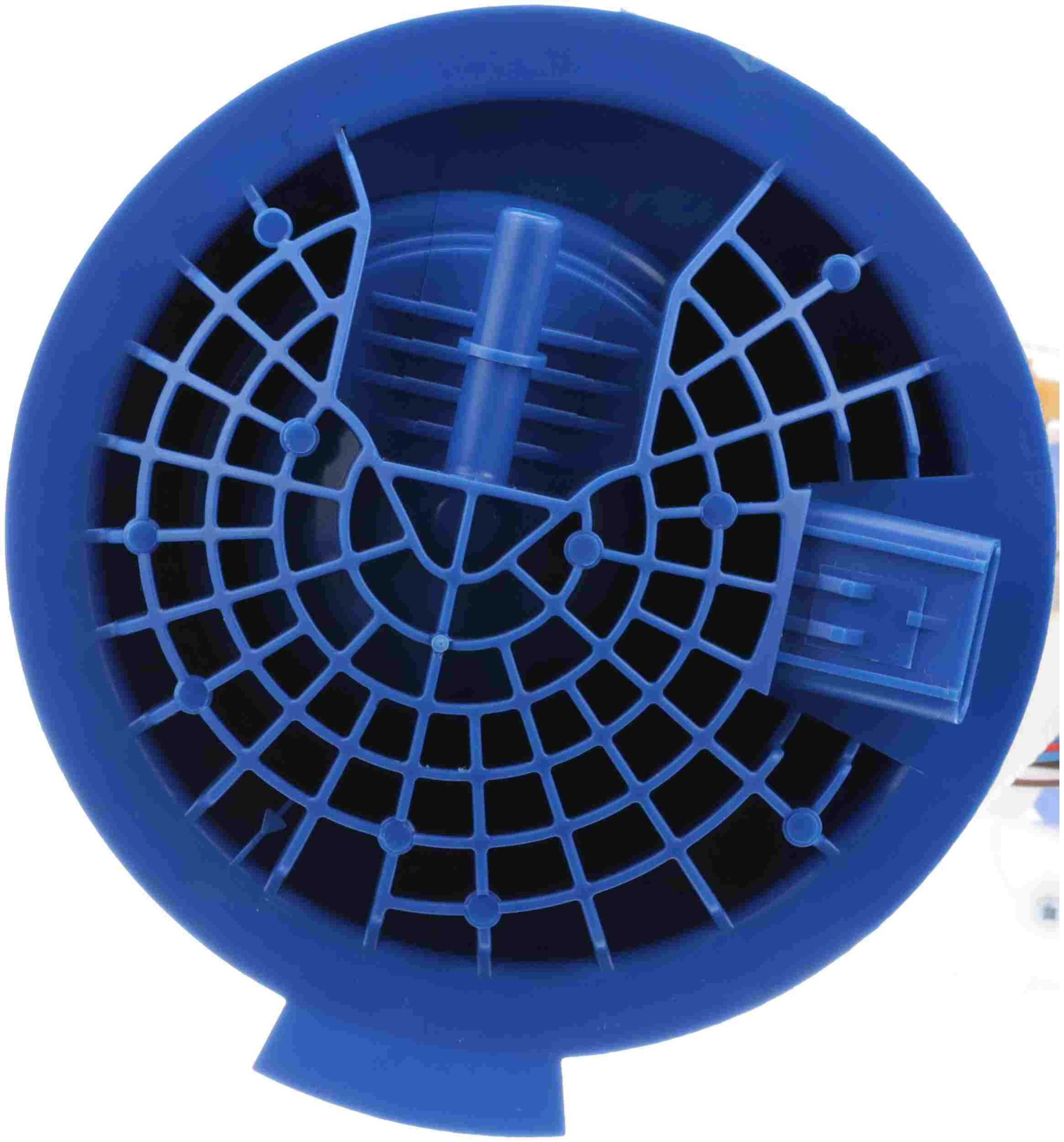 Delphi Fuel Pump Module Assembly FG1698