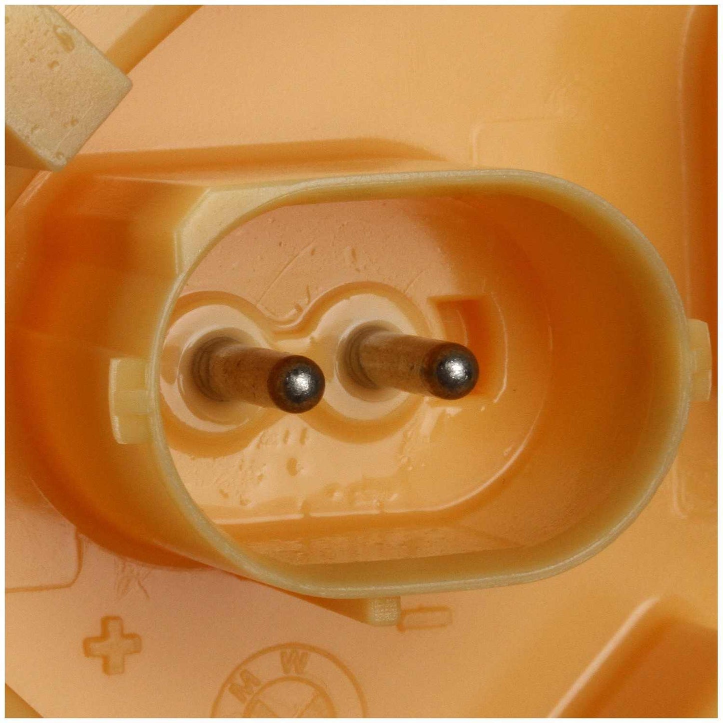 Delphi Fuel Pump Module Assembly FG1711