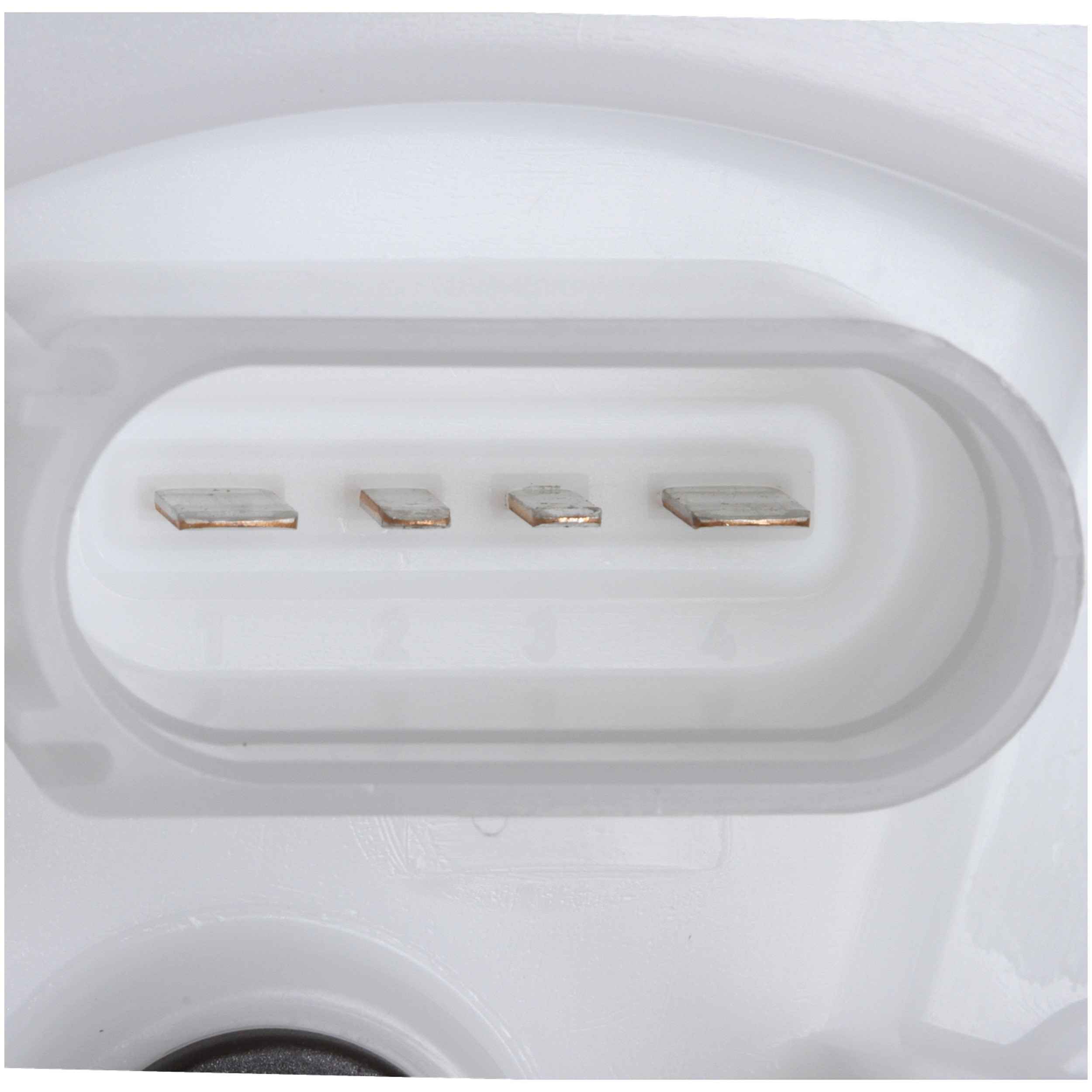 Delphi Fuel Pump Module Assembly FG1719